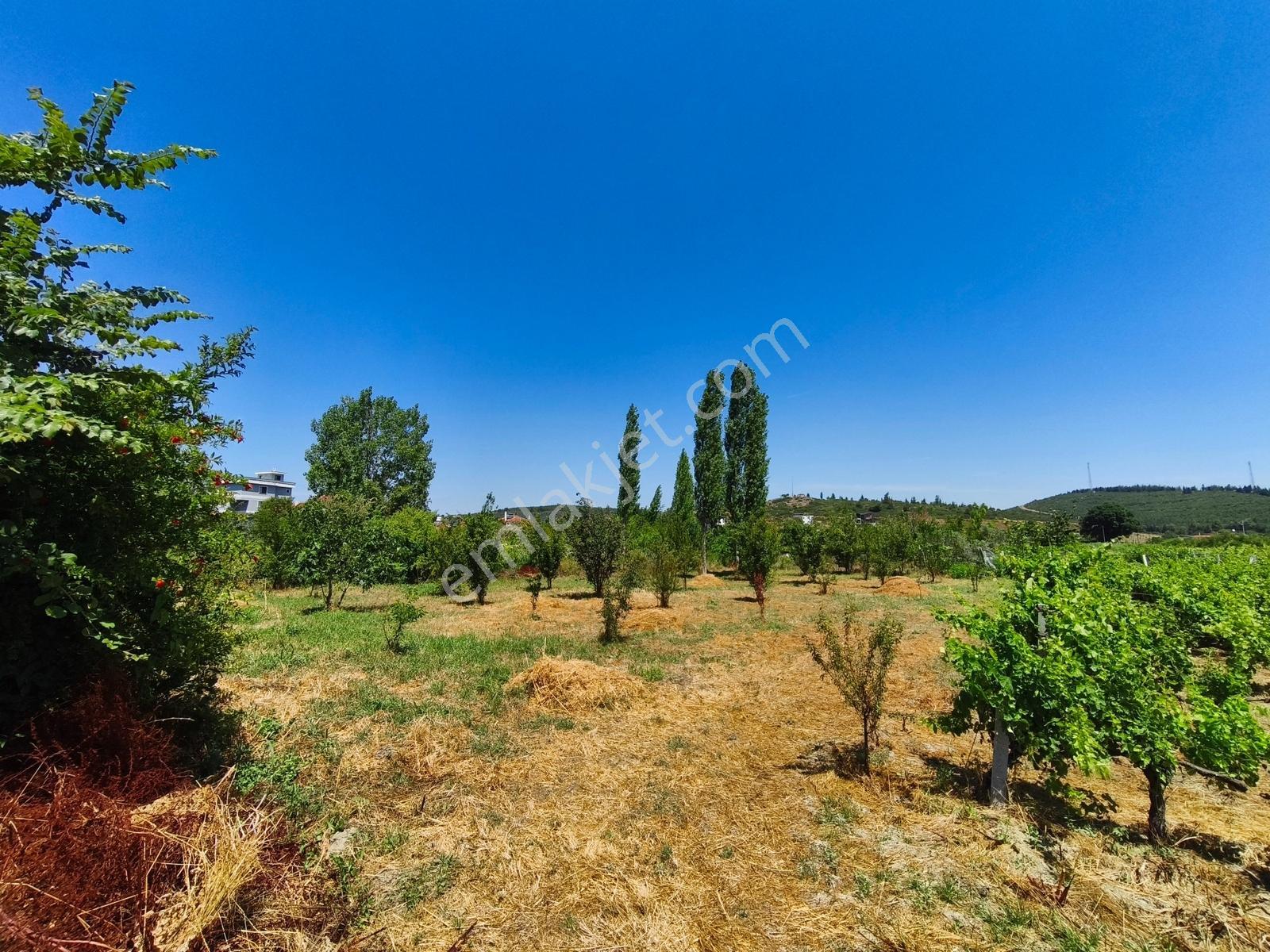 Gökçealanda Köy İçinde Satılık, 724 M2 Bahçe - Arazi... - Görsel 13