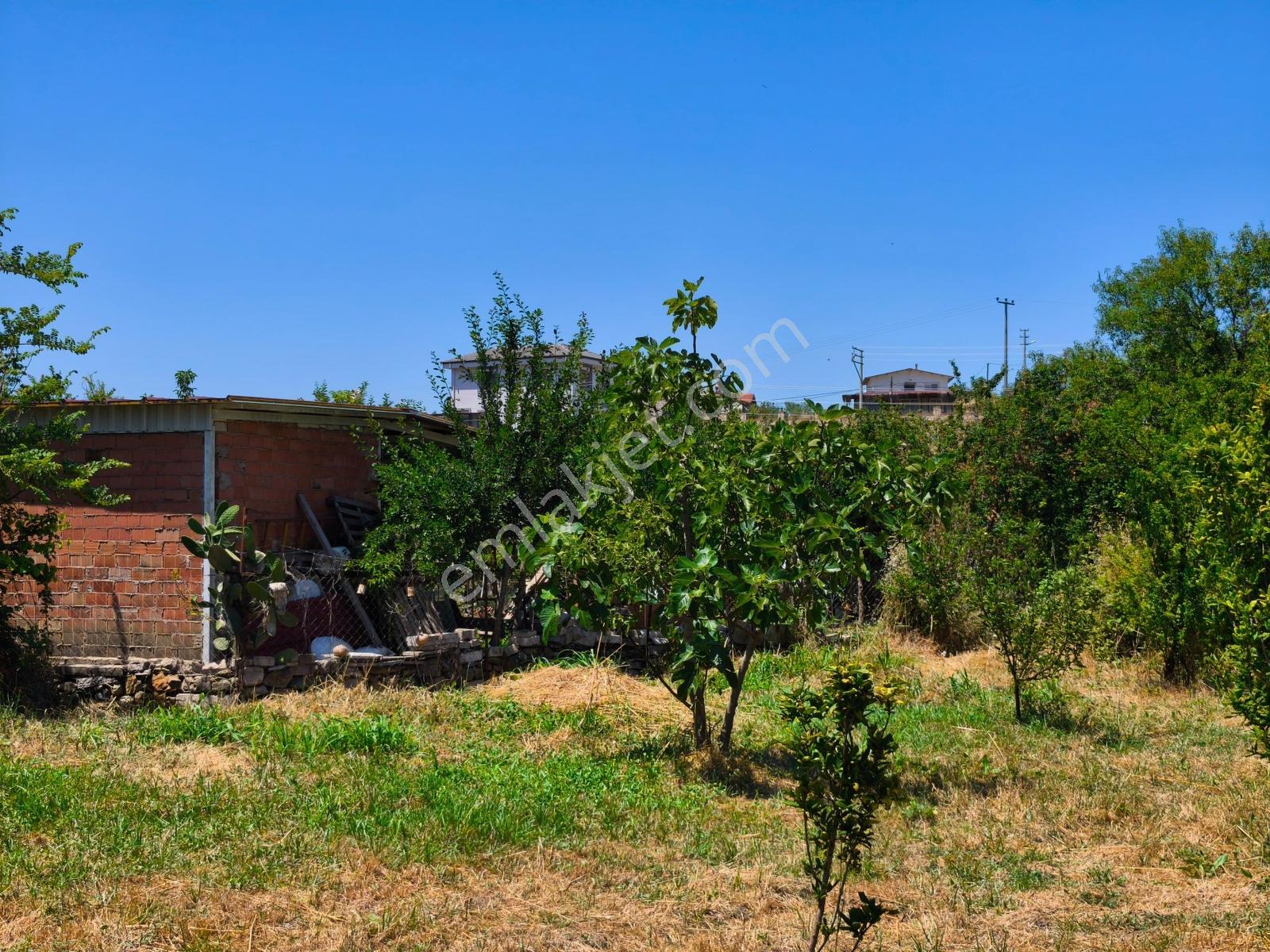 Gökçealanda Köy İçinde Satılık, 724 M2 Bahçe - Arazi... - Görsel 2