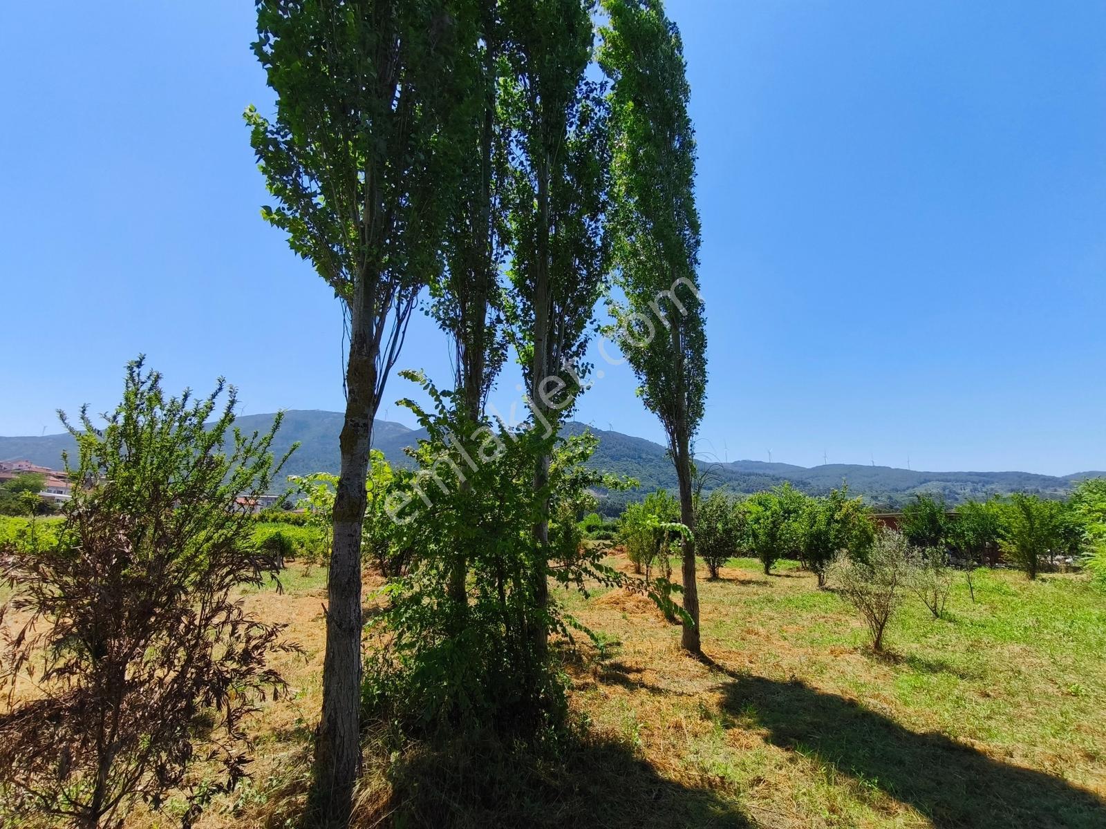 Gökçealanda Köy İçinde Satılık, 724 M2 Bahçe - Arazi... - Görsel 10