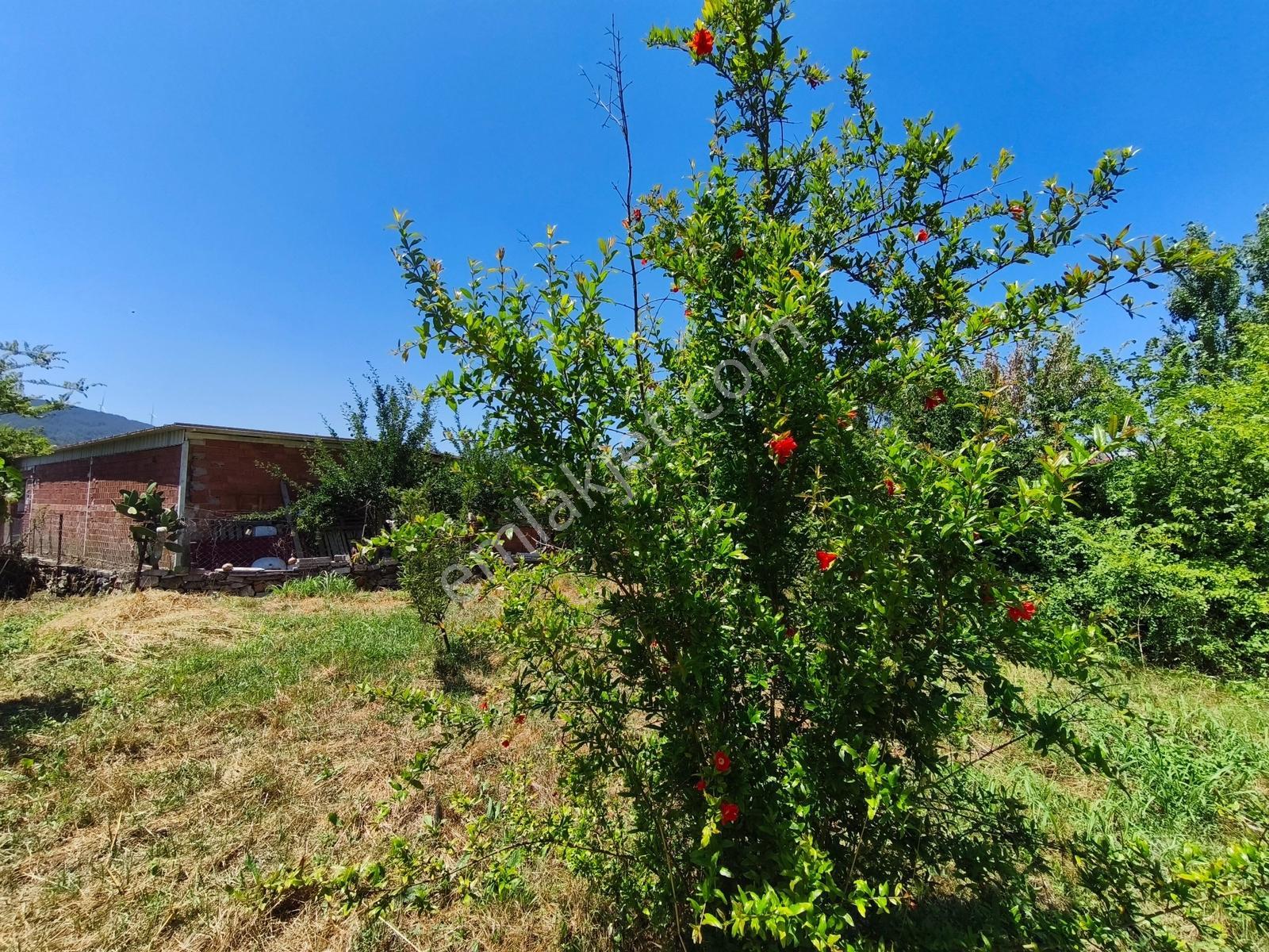 Gökçealanda Köy İçinde Satılık, 724 M2 Bahçe - Arazi... - Görsel 15