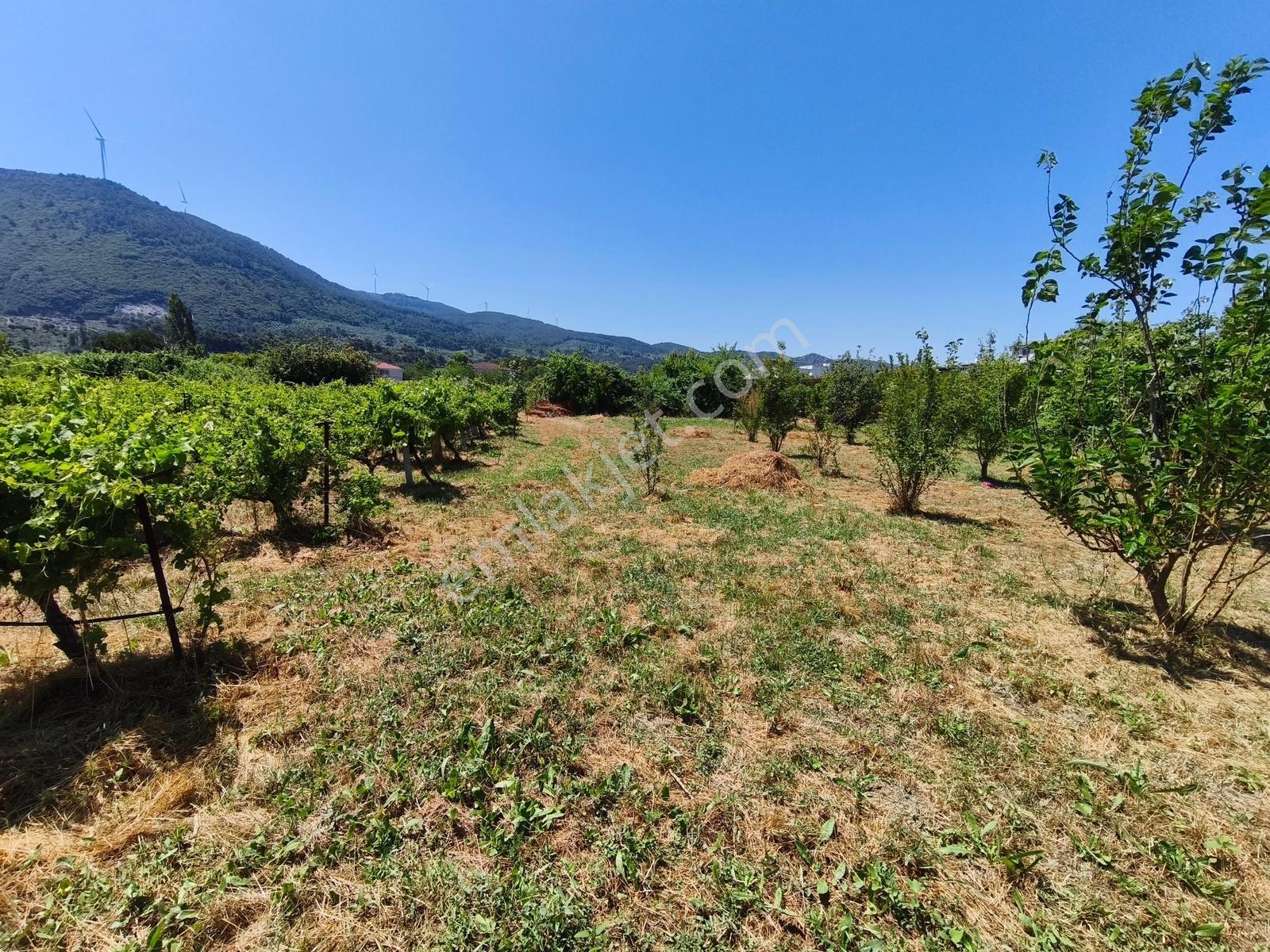 Gökçealanda Köy İçinde Satılık, 724 M2 Bahçe - Arazi... - Görsel 5
