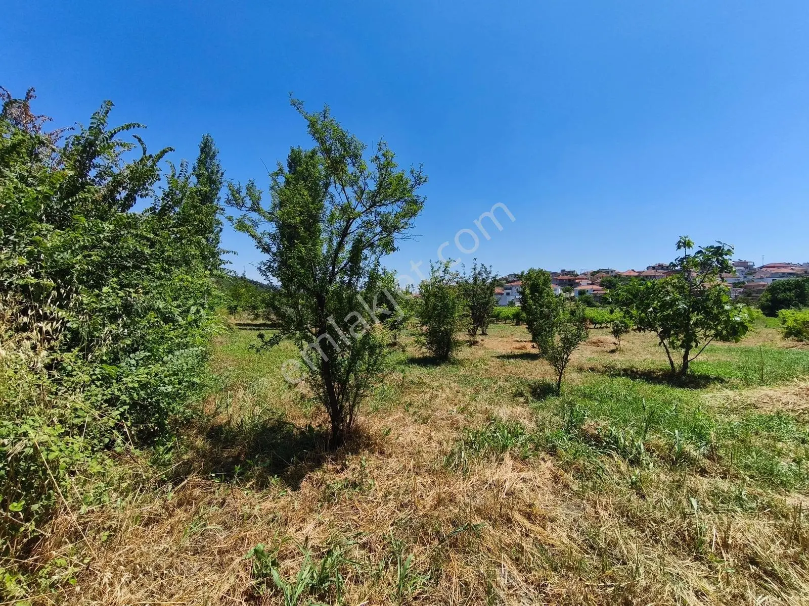 Gökçealanda Köy İçinde Satılık, 724 M2 Bahçe - Arazi...