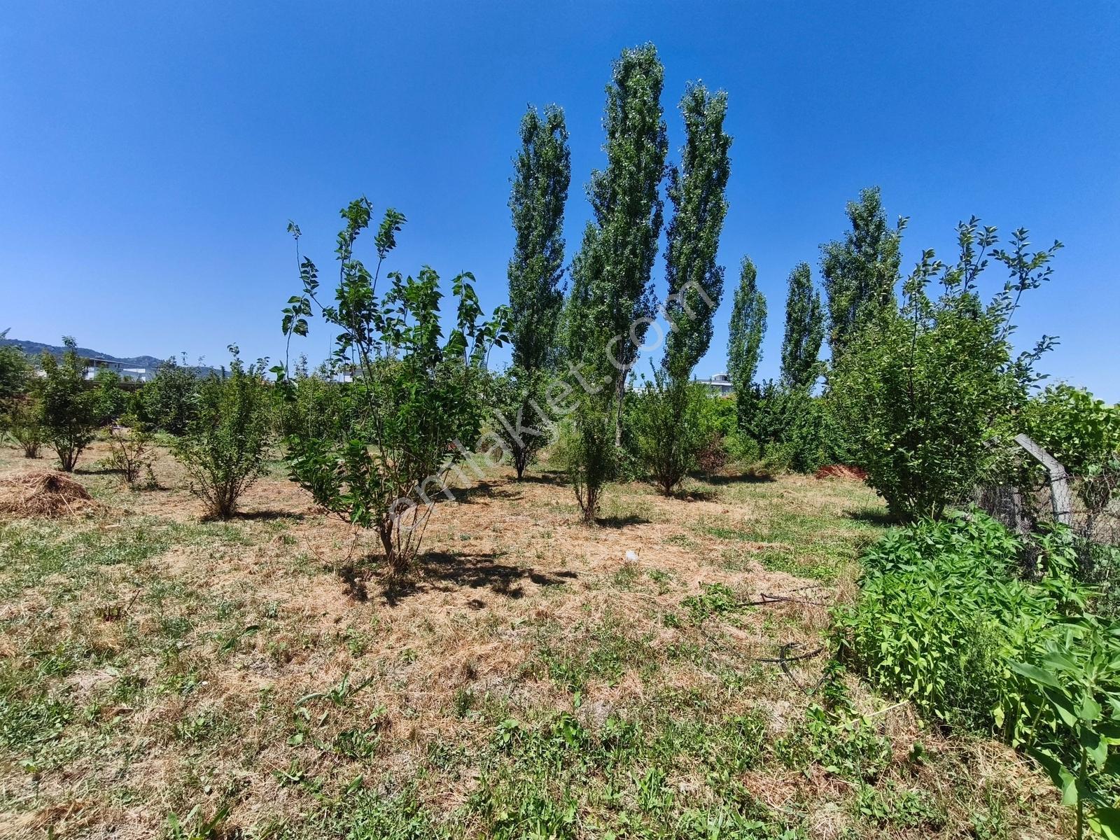 Gökçealanda Köy İçinde Satılık, 724 M2 Bahçe - Arazi... - Görsel 4