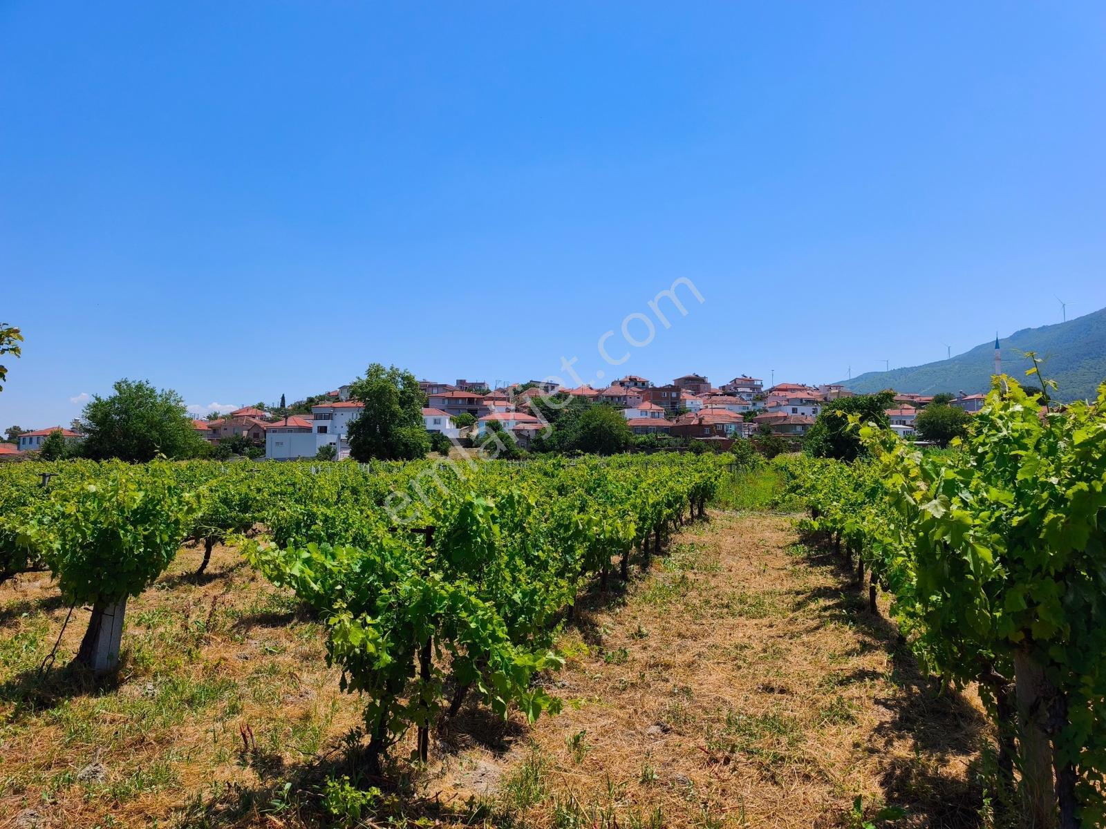Gökçealanda Köy İçinde Satılık, 724 M2 Bahçe - Arazi... - Görsel 14