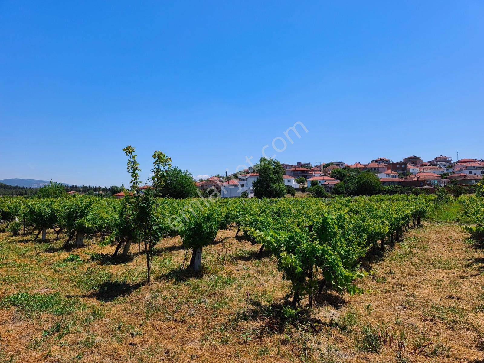 Gökçealanda Köy İçinde Satılık, 724 M2 Bahçe - Arazi... - Görsel 8