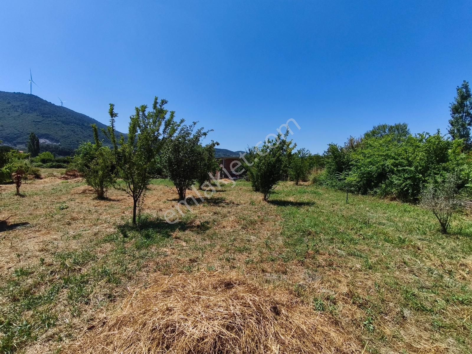 Gökçealanda Köy İçinde Satılık, 724 M2 Bahçe - Arazi... - Görsel 12