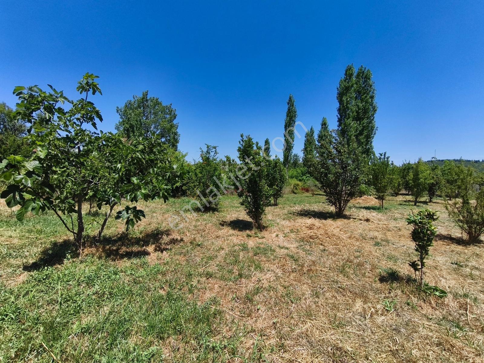 Gökçealanda Köy İçinde Satılık, 724 M2 Bahçe - Arazi... - Görsel 11