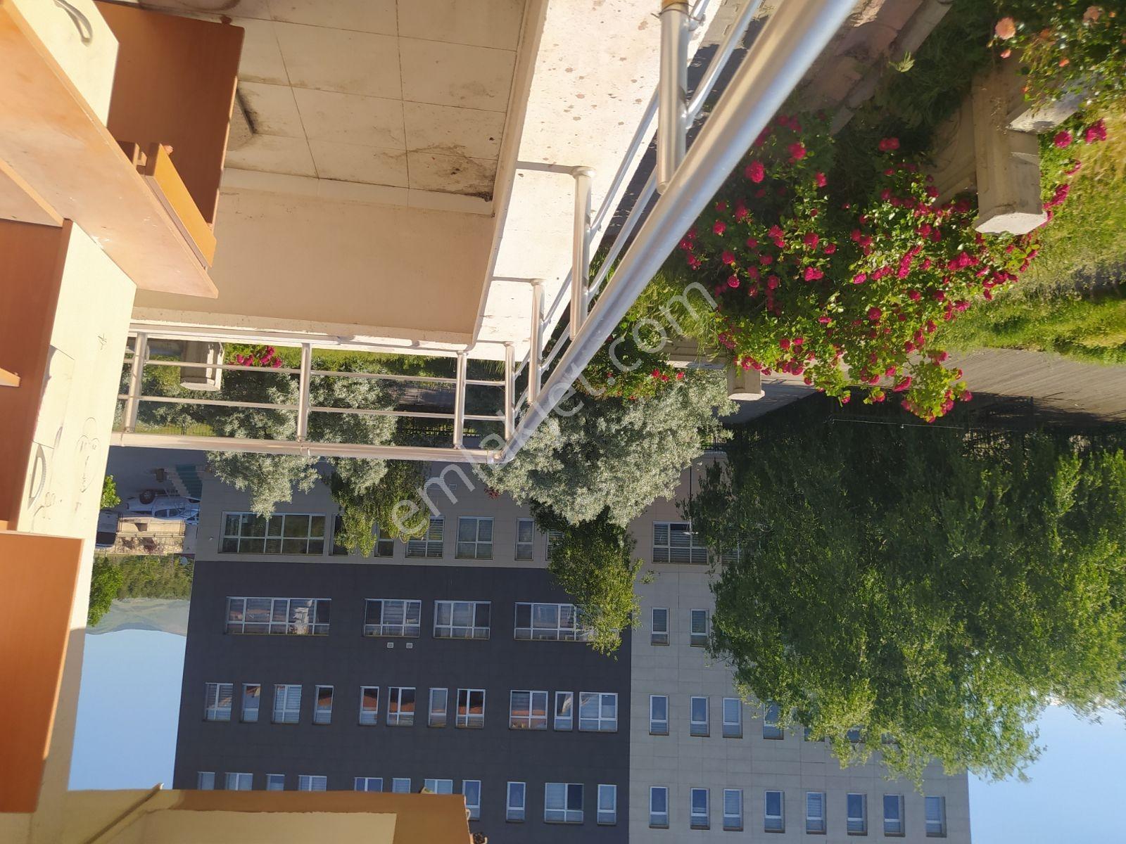İl Tarım Müdürlüğü Yanı 2+1 Yüksek Giriş Daire - Görsel 18