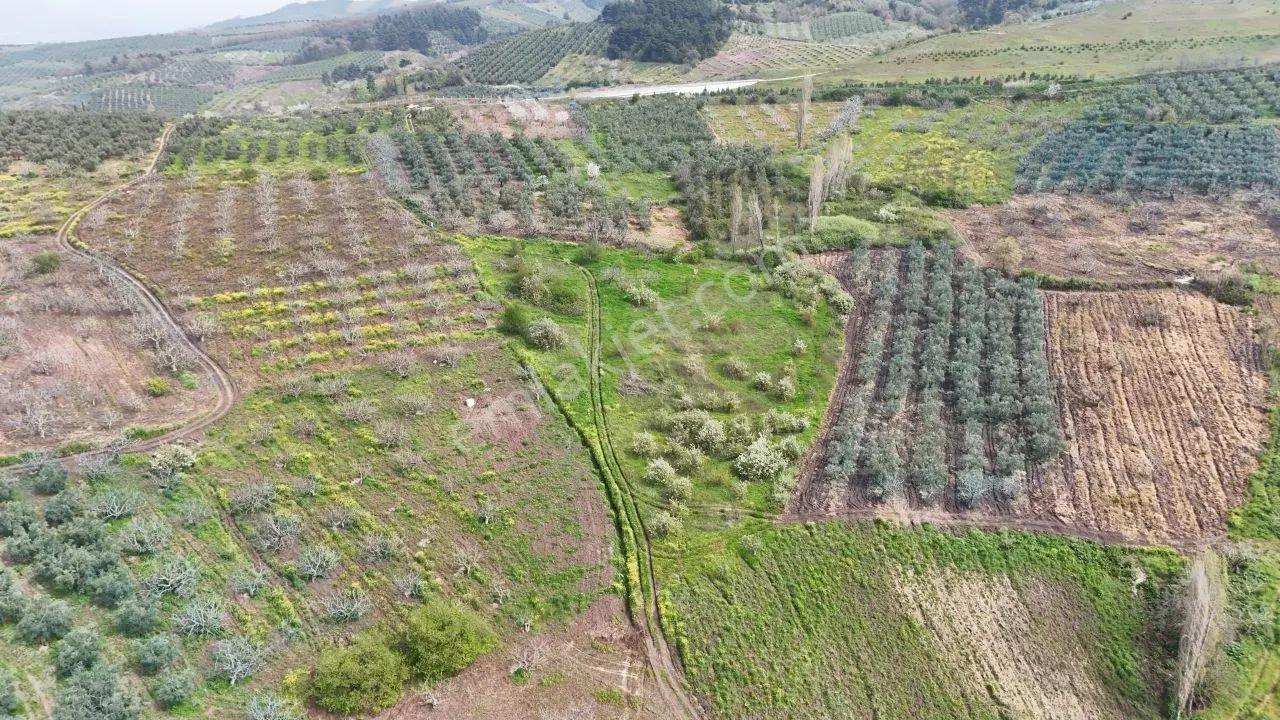 Değer Kazanma Potansiyeli Yüksek Satılık Tarla - Görsel 2