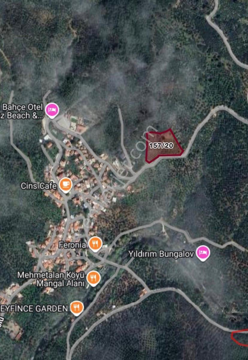 Mehmetalan Köyü'nde İmara Çok Yakın Deniz Manzaralı Zeytinlik - Görsel 3
