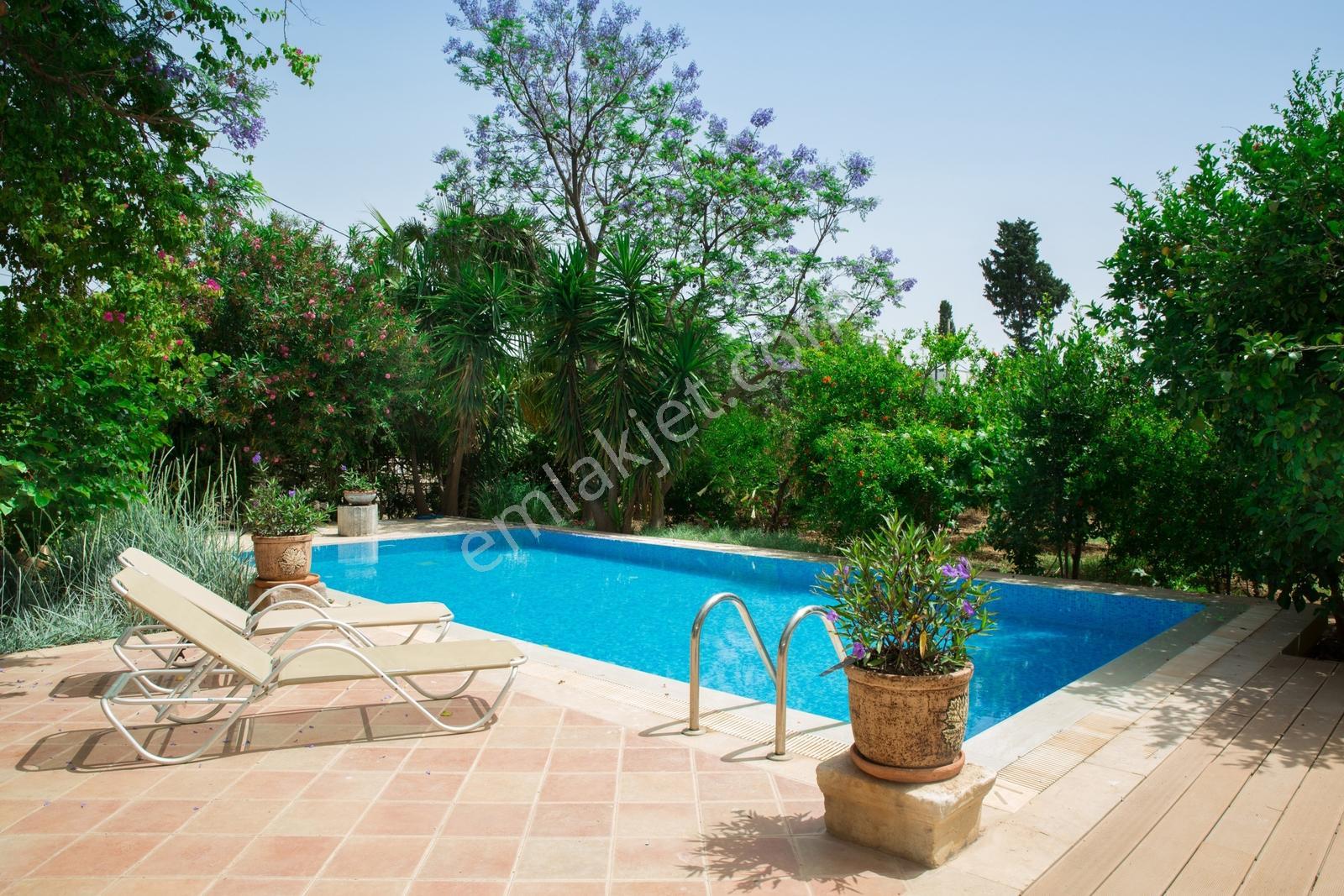 Bodrum Bitezde 5 Odalı Müstakil Havuzlu Kiralık Villa - Görsel 3