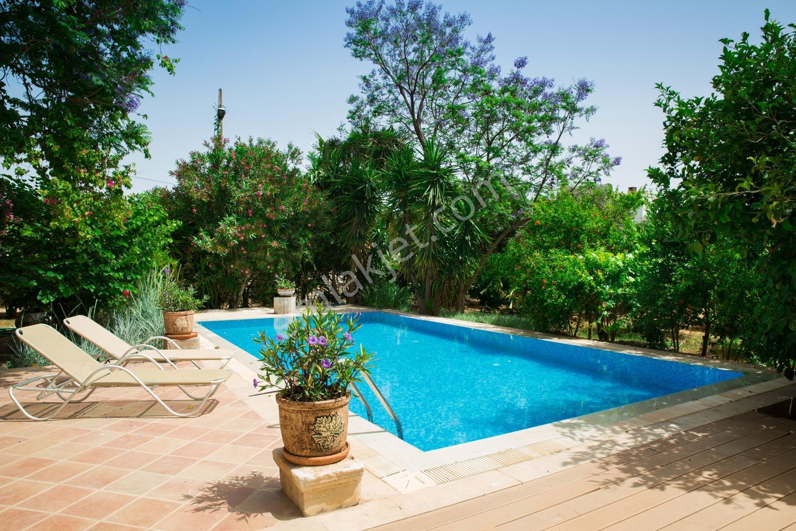 Bodrum Bitezde 5 Odalı Müstakil Havuzlu Kiralık Villa - Görsel 12