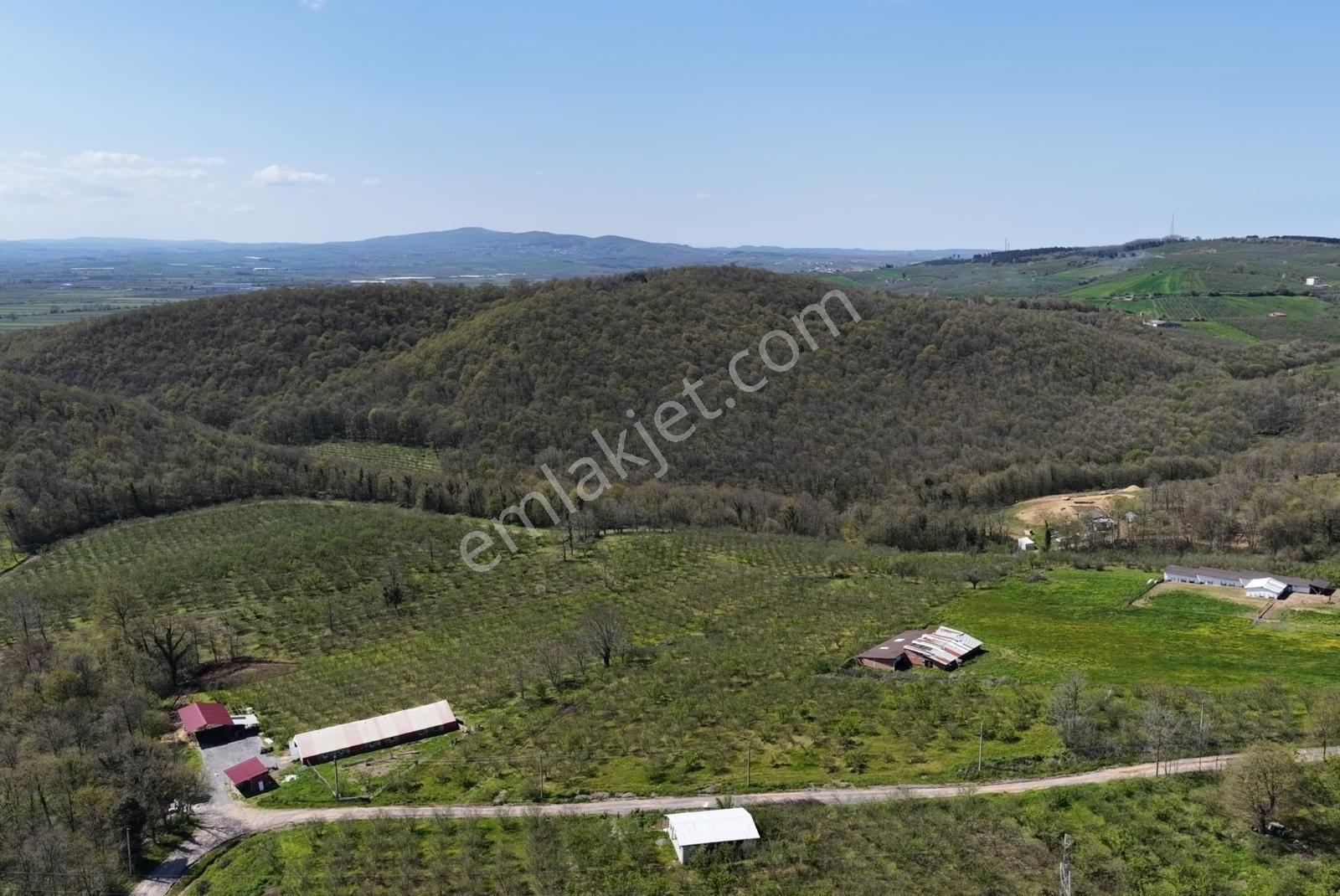 Resmi Yola 115 Metre Cephesi Bulunan 10 Dönüm Bakımlı Fındıklık - Görsel 17