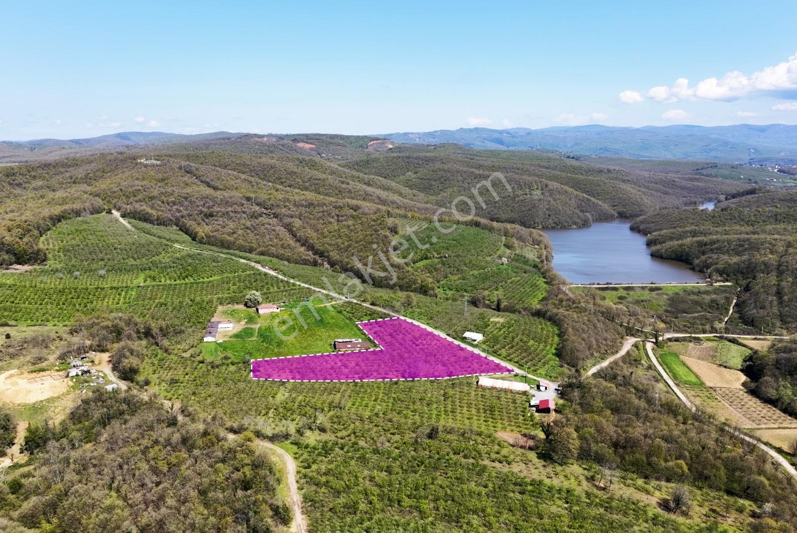 Resmi Yola 115 Metre Cephesi Bulunan 10 Dönüm Bakımlı Fındıklık - Görsel 16