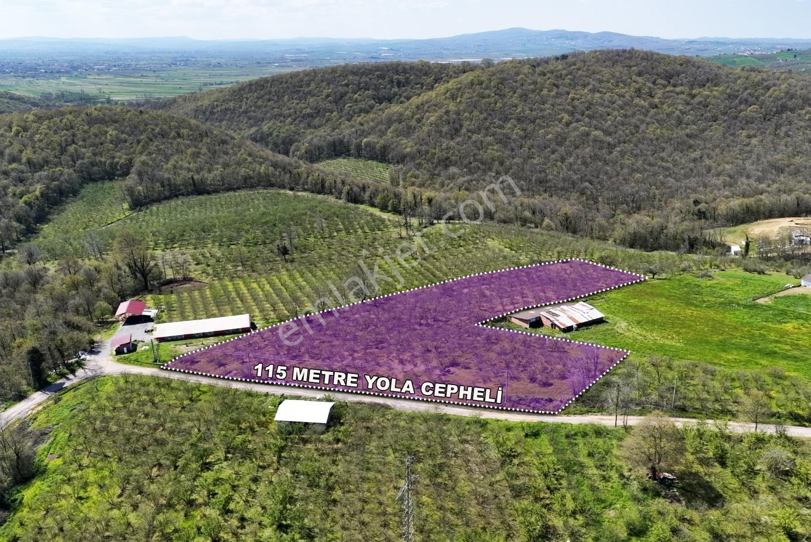 Resmi Yola 115 Metre Cephesi Bulunan 10 Dönüm Bakımlı Fındıklık - Görsel 6