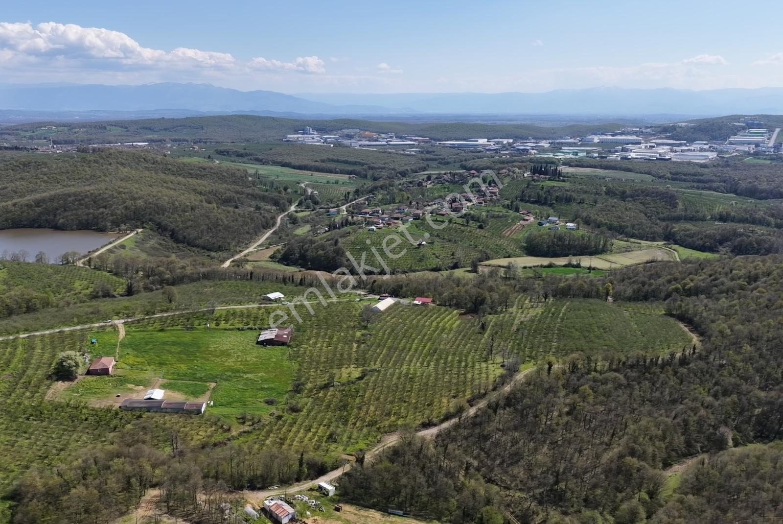 Resmi Yola 115 Metre Cephesi Bulunan 10 Dönüm Bakımlı Fındıklık - Görsel 12