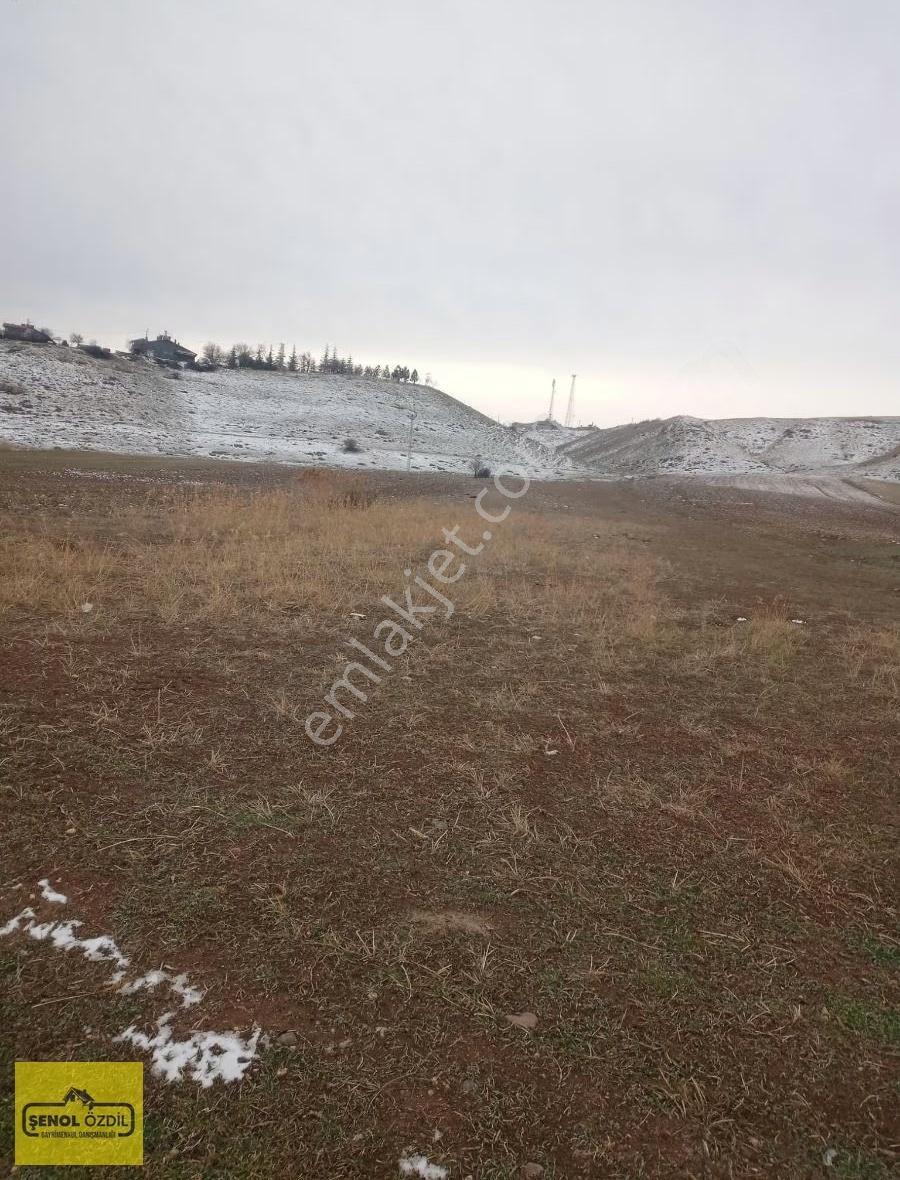 Şenoldan Satılık Müstakil Tarla Hatunsarayda 5504 Metrekare - Görsel 3