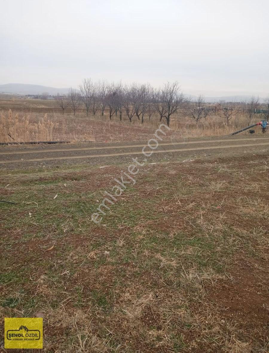Şenoldan Satılık Müstakil Tarla Hatunsarayda 5504 Metrekare - Görsel 5