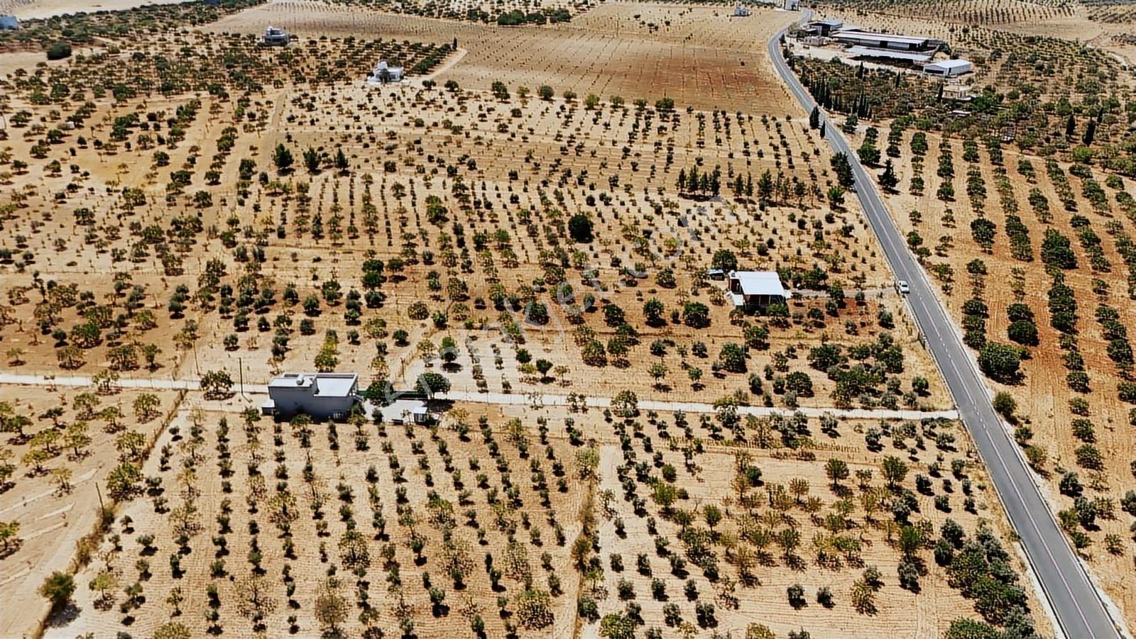 Cb Acar'dan Şehir Merkezine Yakın Konumda 10.600m2 Bağ(dronelu) - Görsel 11