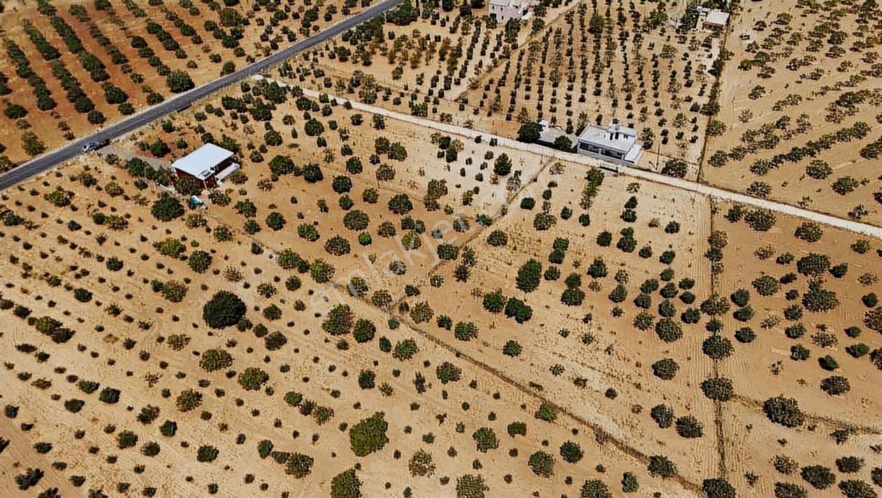Cb Acar'dan Şehir Merkezine Yakın Konumda 10.600m2 Bağ(dronelu) - Görsel 6