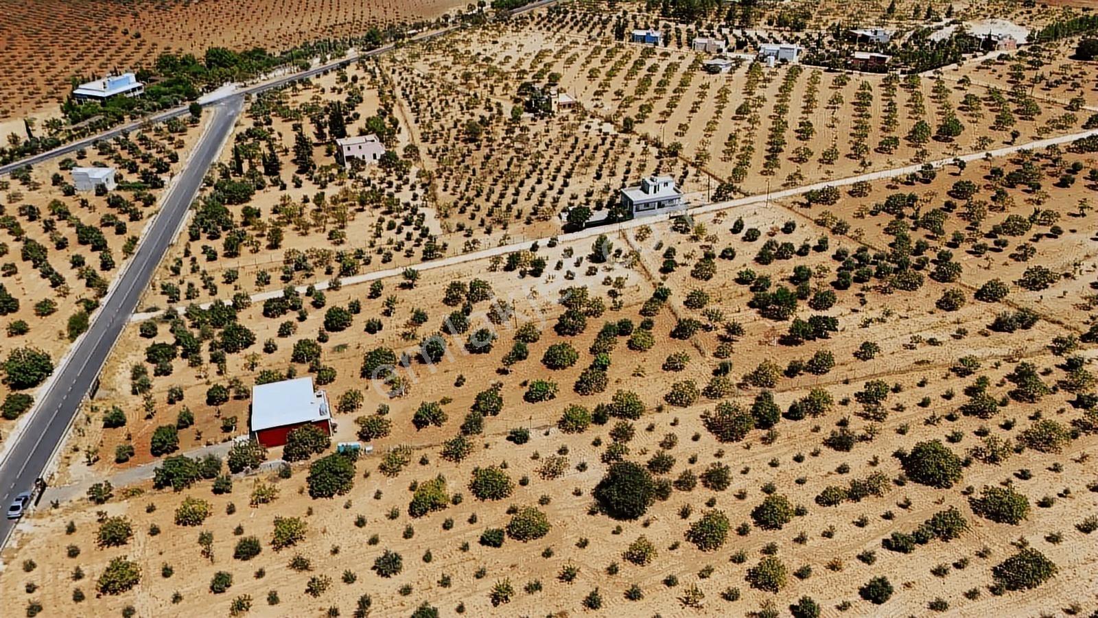 Cb Acar'dan Şehir Merkezine Yakın Konumda 10.600m2 Bağ(dronelu) - Görsel 5