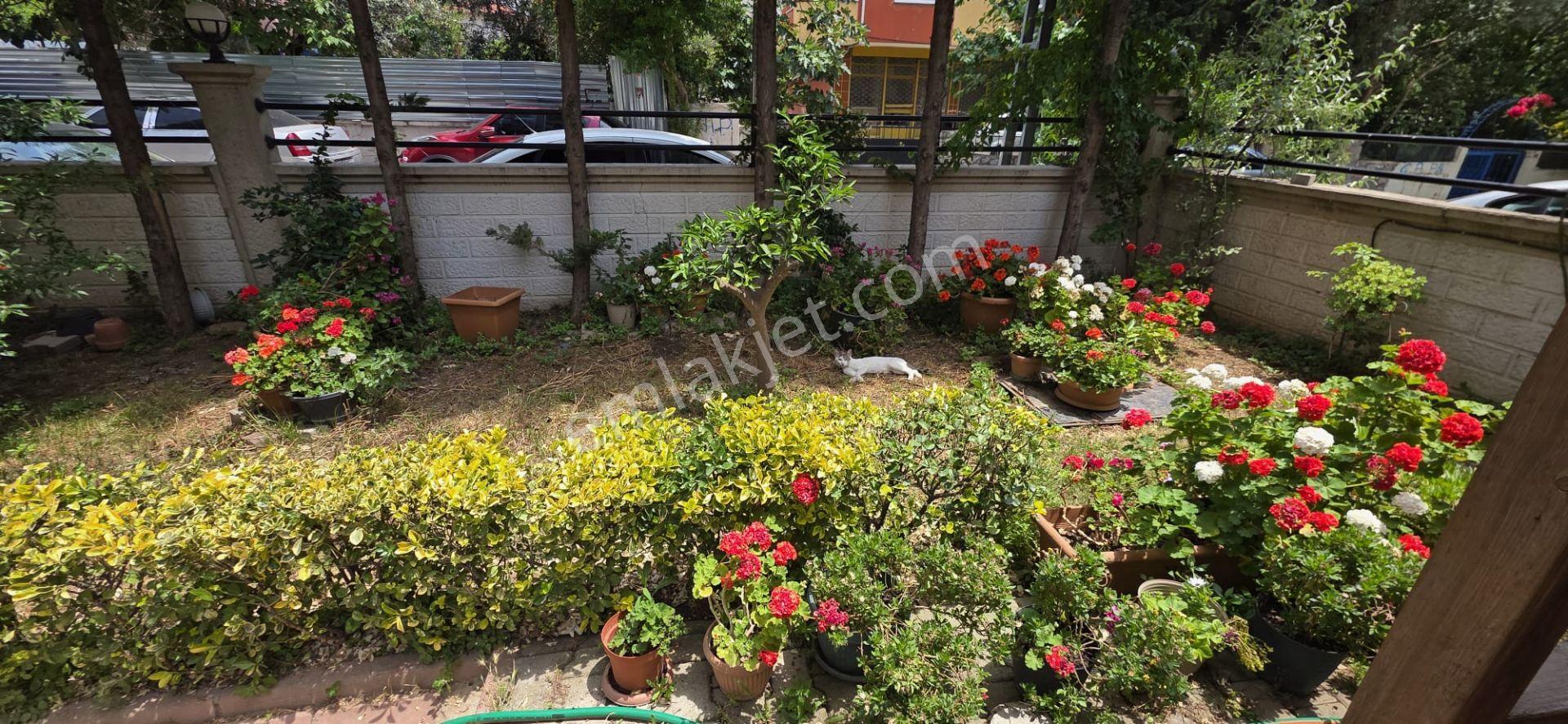 Metroya Ve Marmaraya Yakın , Genç Binada, 3+1 Arakat Daire - Görsel 34