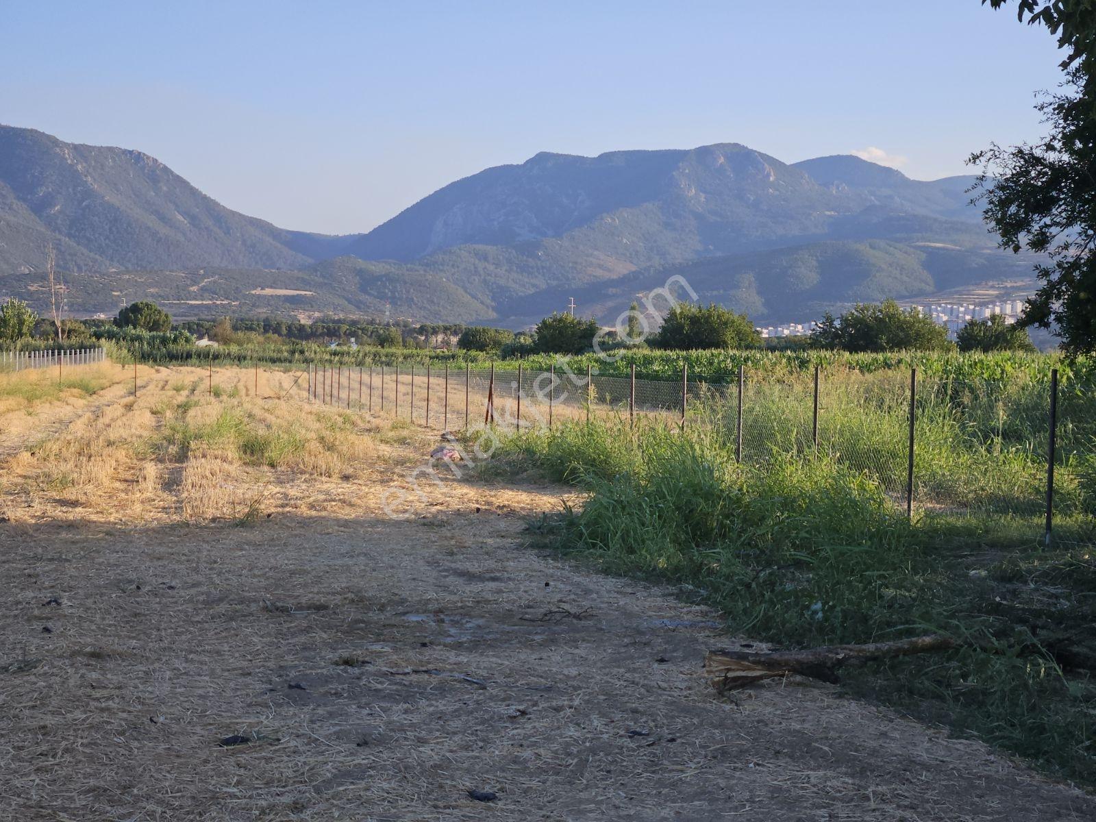 Manisa Cbü Kampüsün Dibinde Yatırımlık Kelepir Tarla 1250m2 - Görsel 9