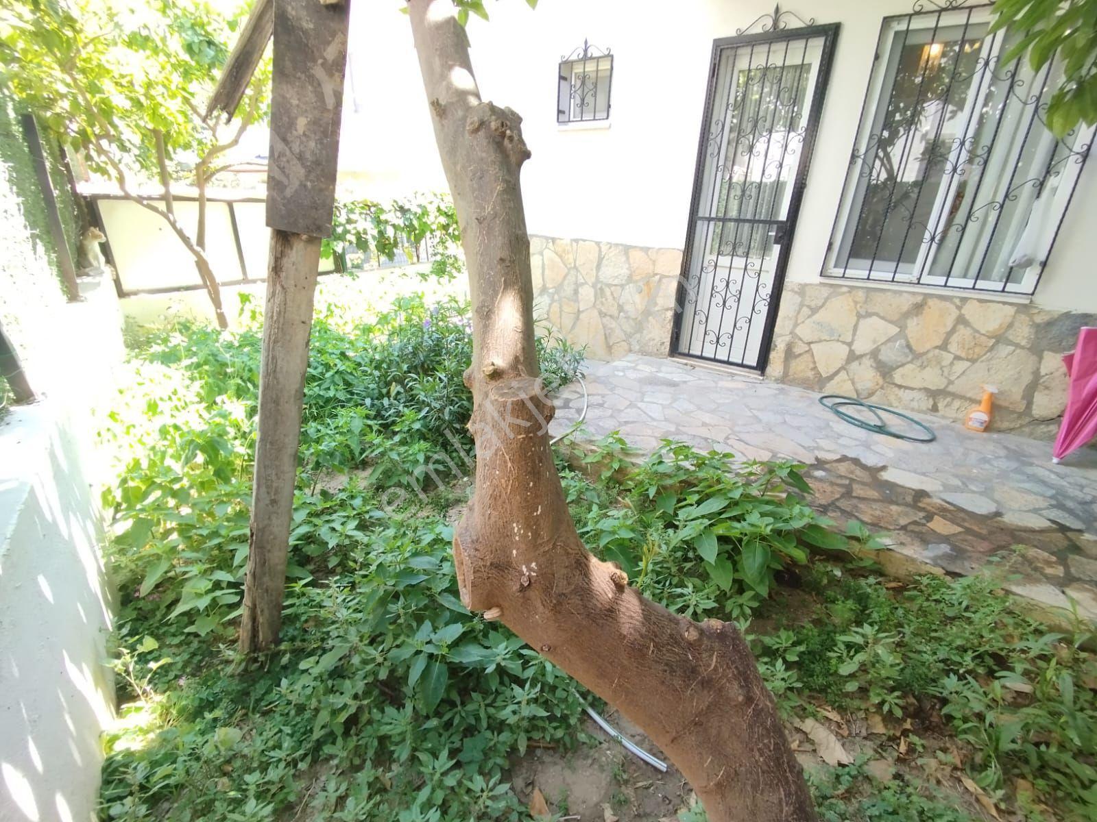 Kuşadası Kadınlar Denizi Masrafsız Bahçeli Satılık - Görsel 7