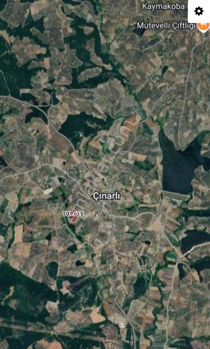Selçuklu'dan Çınarlı'da Yerleşime Yakın Fırsat Zeytinlik - Görsel 2