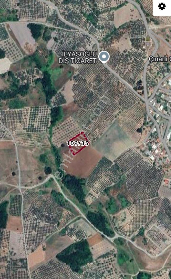 Selçuklu'dan Çınarlı'da Yerleşime Yakın Fırsat Zeytinlik - Görsel 3