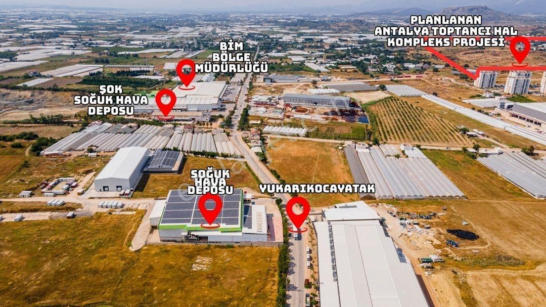 Tam Entegre Soğuk Hava Deposu 5000 Ton Kapasiteli