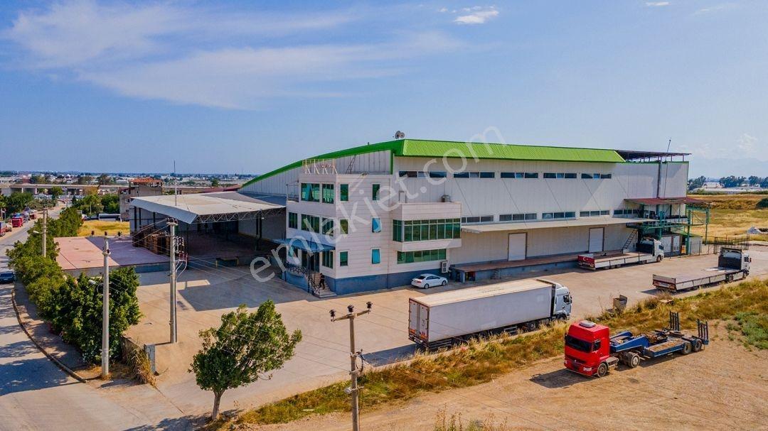 Tam Entegre Soğuk Hava Deposu 5000 Ton Kapasiteli - Görsel 23