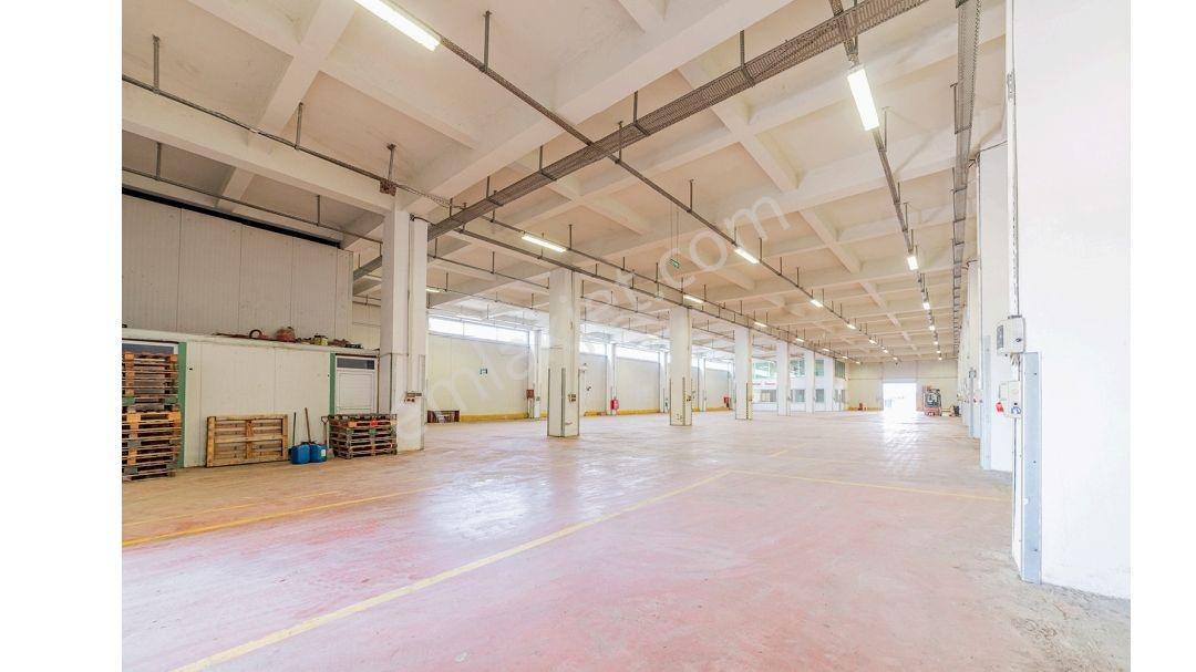 Tam Entegre Soğuk Hava Deposu 5000 Ton Kapasiteli - Görsel 15