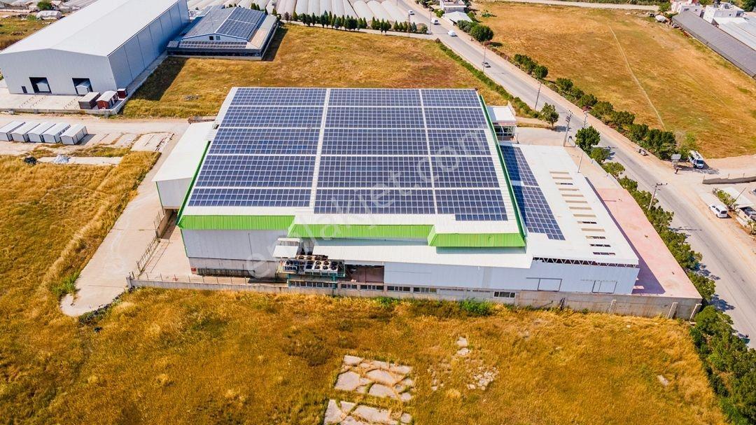 Tam Entegre Soğuk Hava Deposu 5000 Ton Kapasiteli - Görsel 25