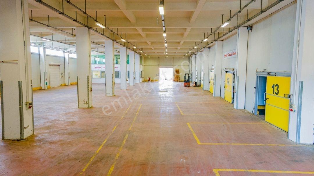 Tam Entegre Soğuk Hava Deposu 5000 Ton Kapasiteli - Görsel 3