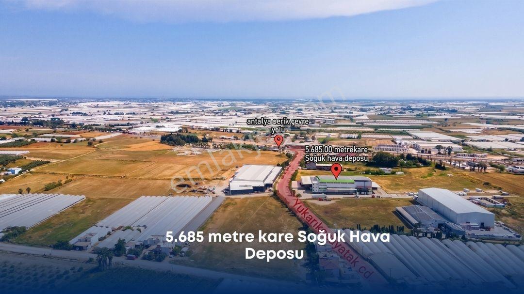 Tam Entegre Soğuk Hava Deposu 5000 Ton Kapasiteli - Görsel 11