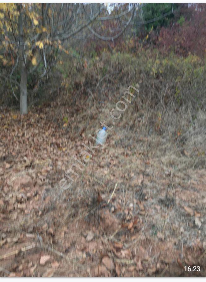 Bursa Büyükorhanda 292 M Bahçe - Görsel 4