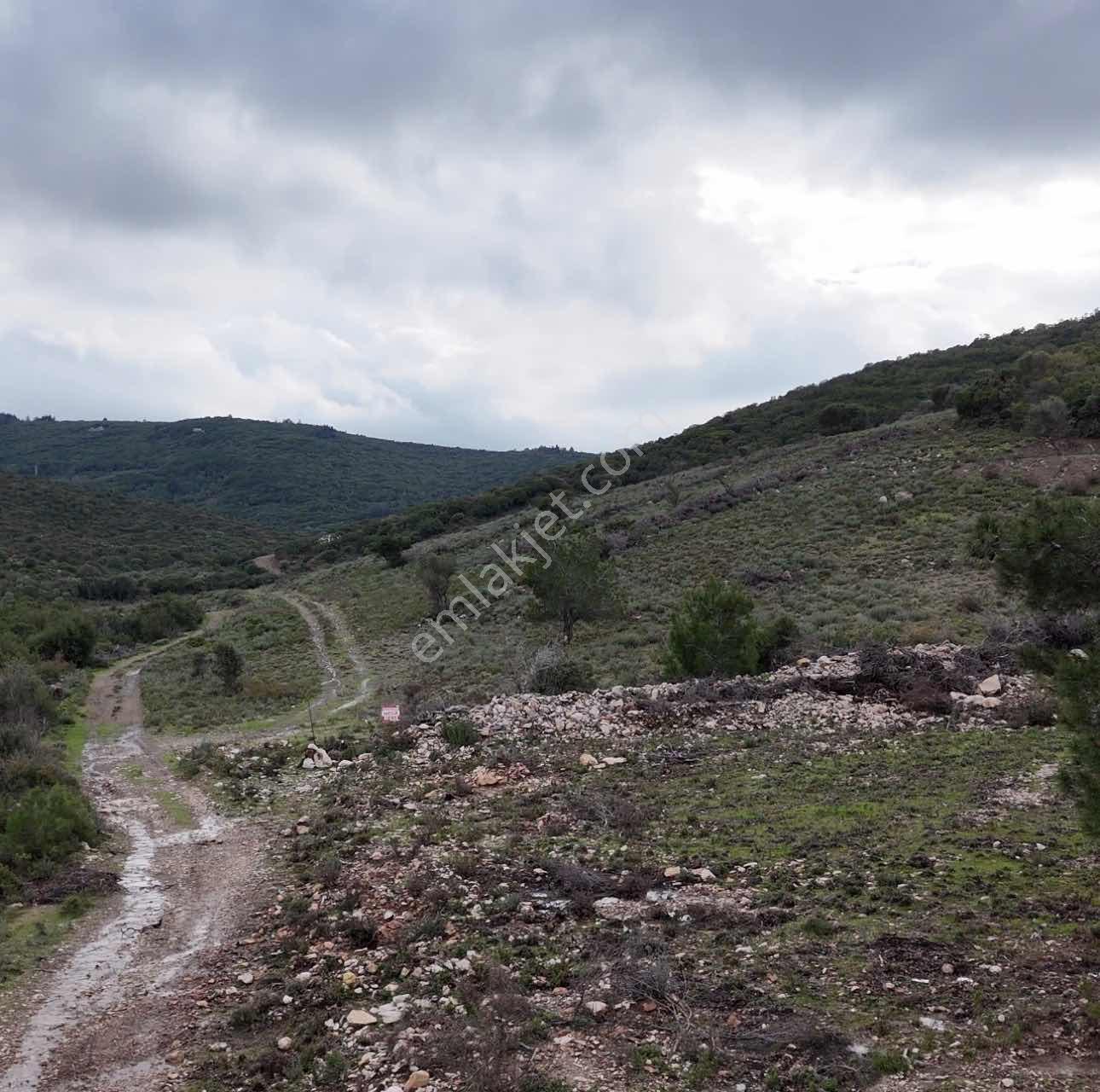 Doğa Dostu'ndan Karaburun Eğlenhoca Gölet Mevki 8102 M2 Tarla - Görsel 12