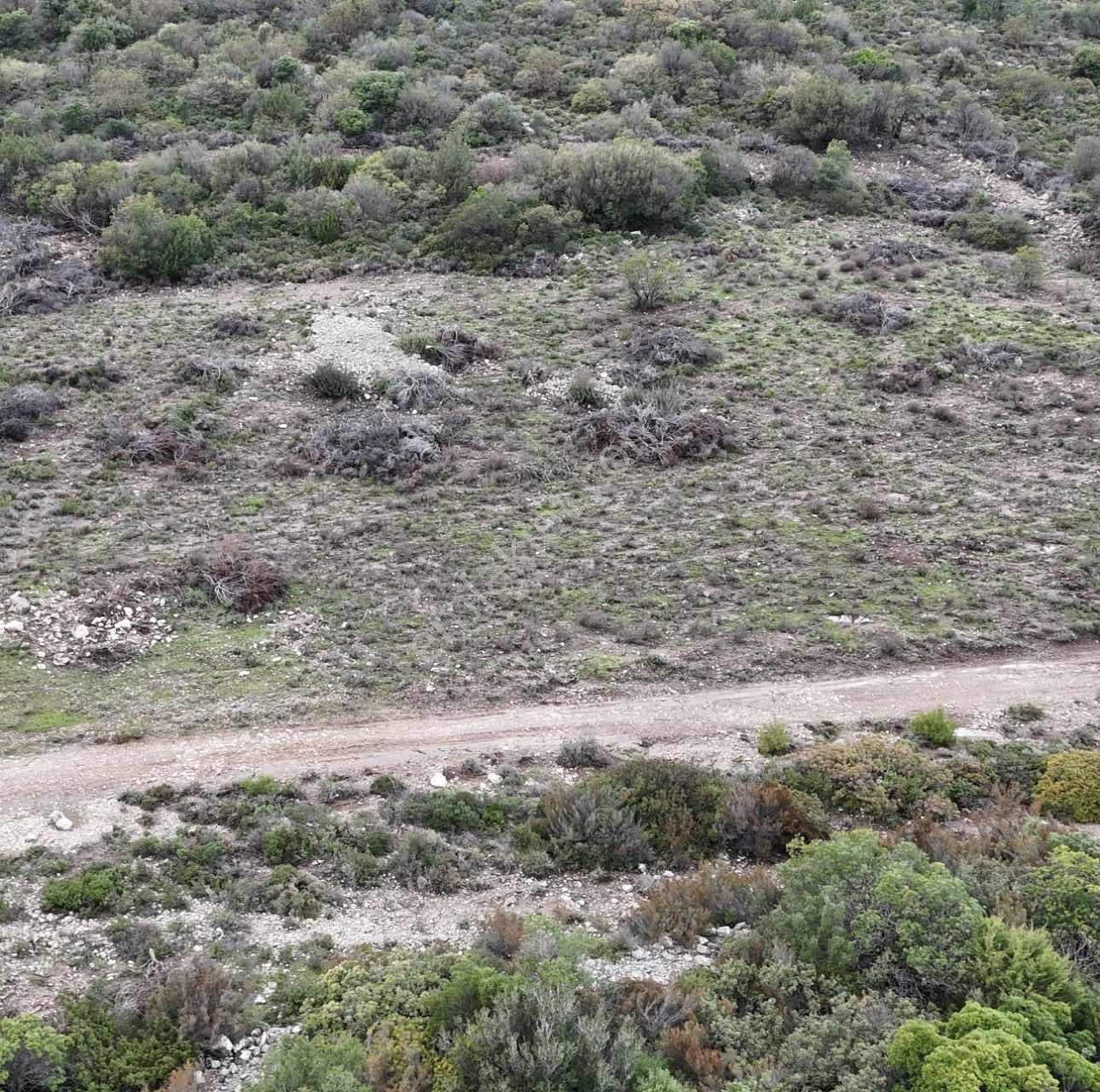 Doğa Dostu'ndan Karaburun Eğlenhoca Gölet Mevki 8102 M2 Tarla - Görsel 7