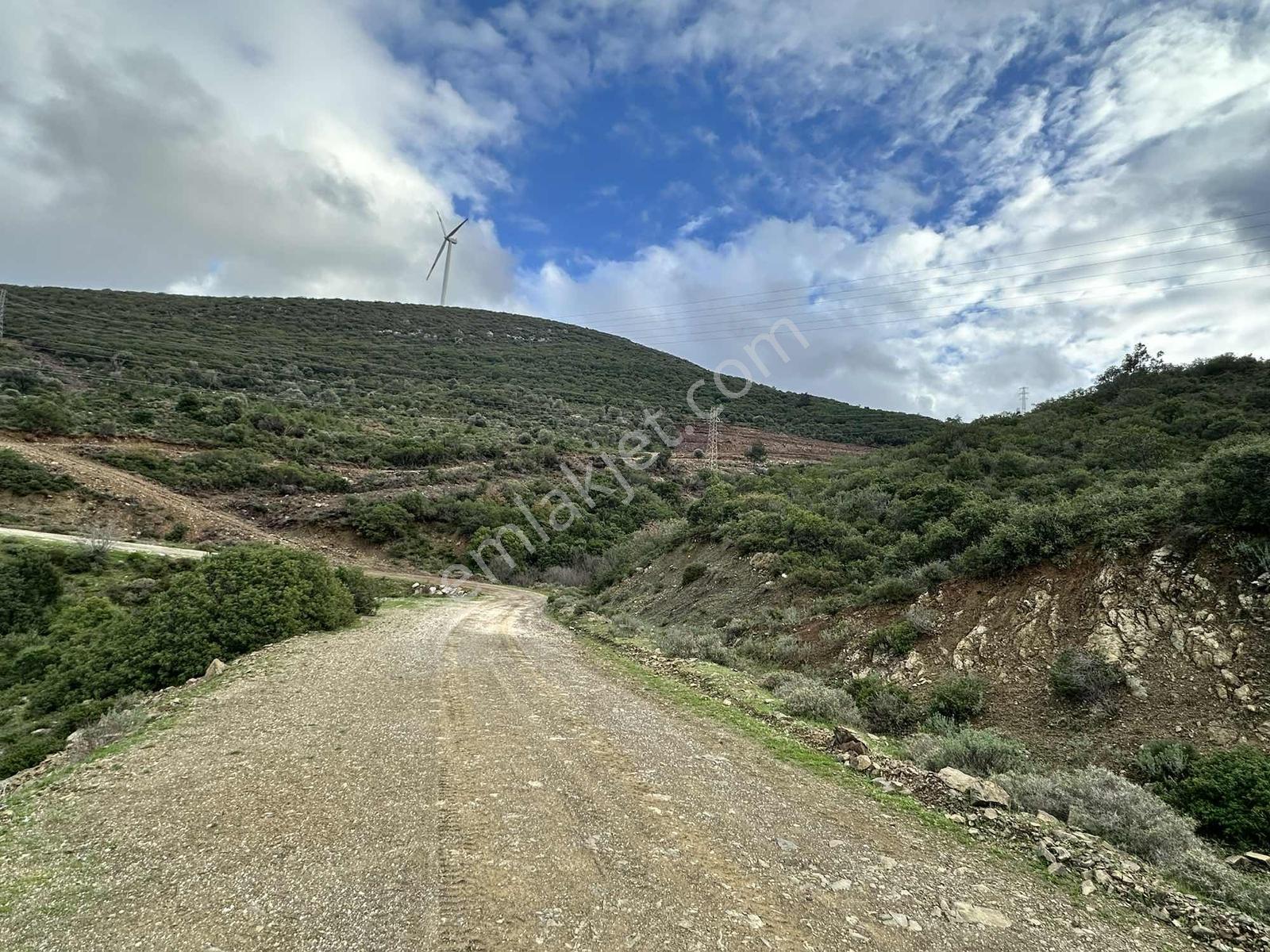 Doğa Dostu'ndan Karaburun Eğlenhoca Gölet Mevki 8102 M2 Tarla - Görsel 2