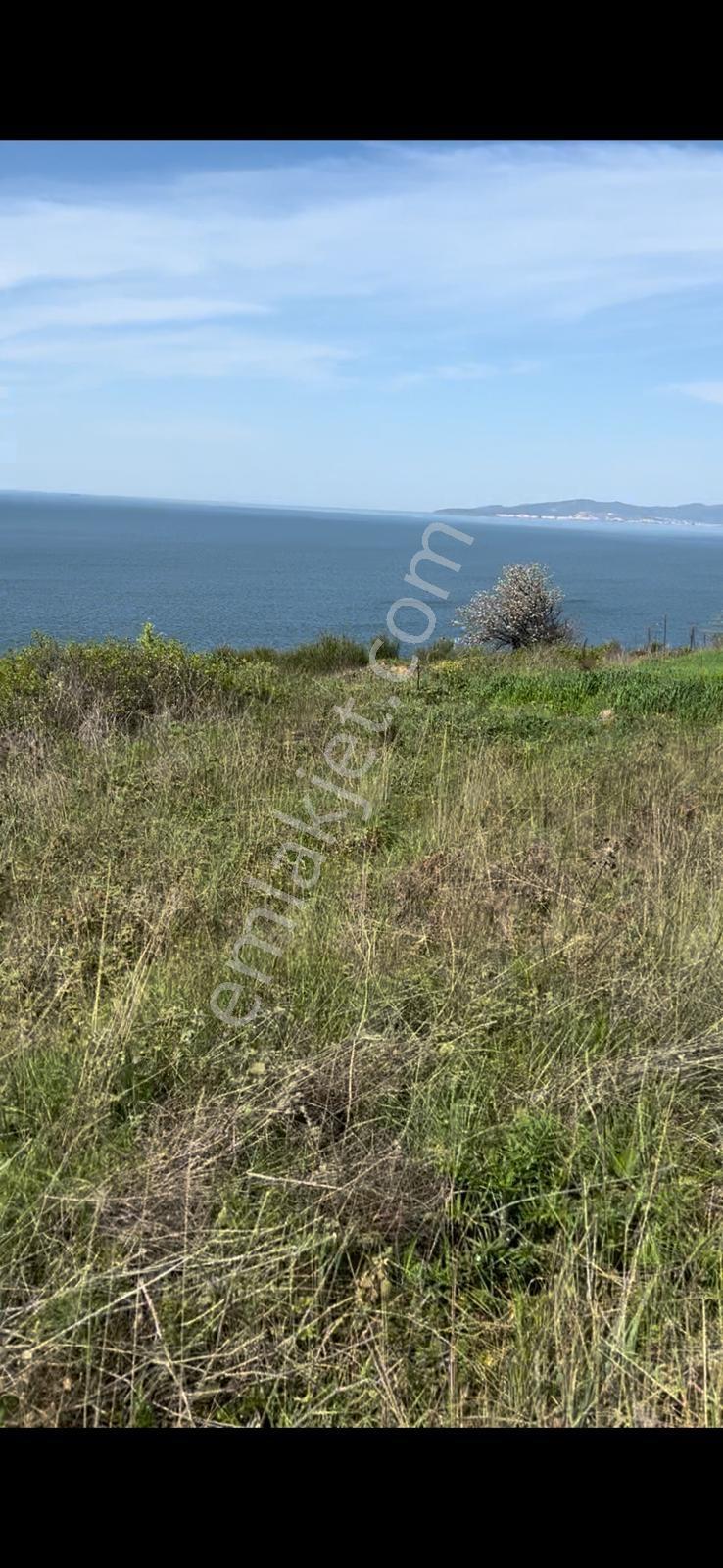 Yatırımların Kesişim Noktasında Full Deniz Manzaralı Kupon Arazi - Görsel 5