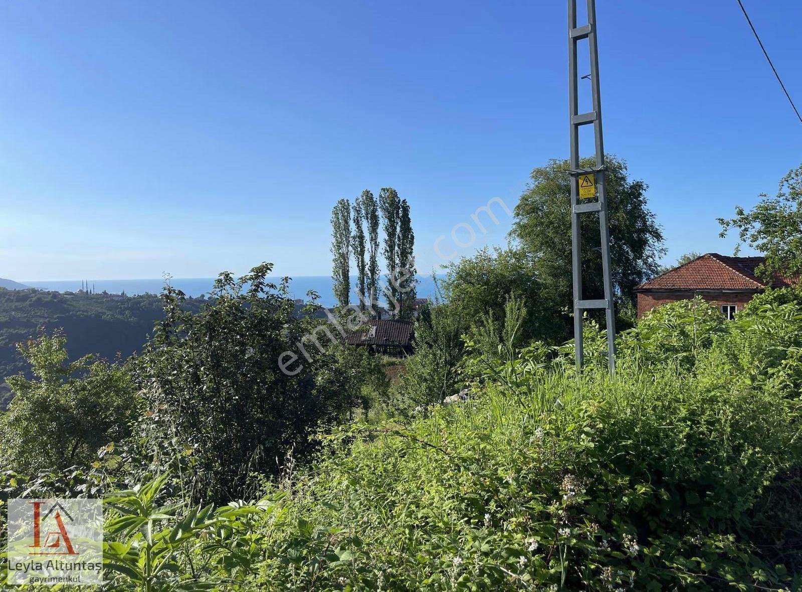 Akyazıda Deniz Manzaralı Satılık Arsa - Görsel 3