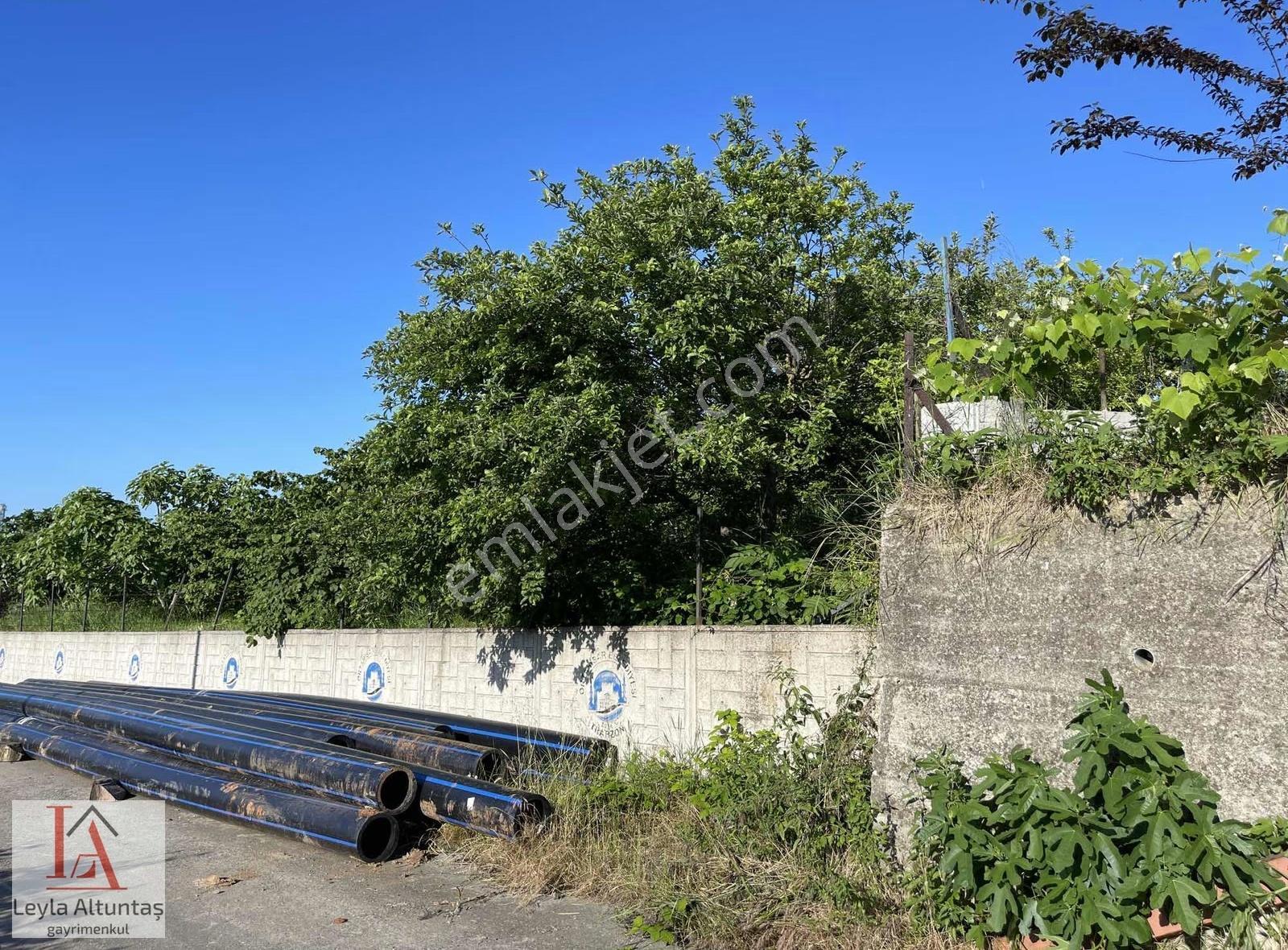 Akyazıda Deniz Manzaralı Satılık Arsa - Görsel 11