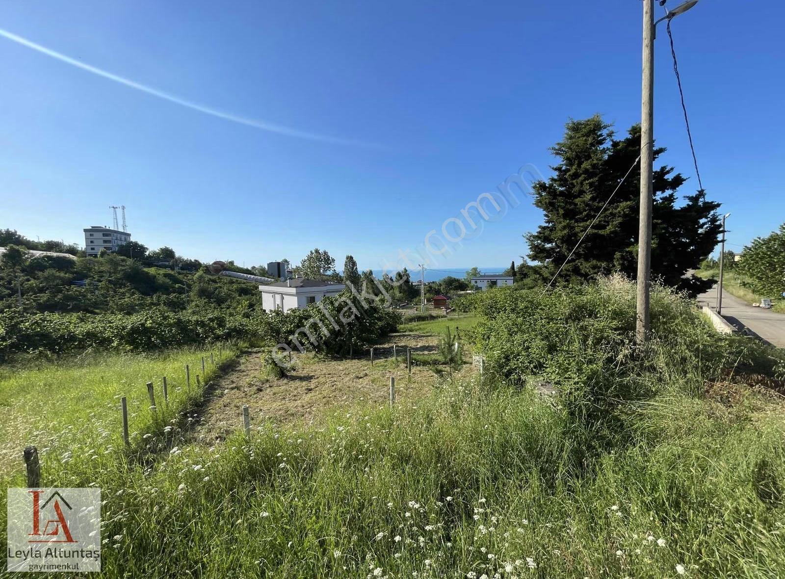 Akyazıda Deniz Manzaralı Villalık Arsa - Görsel 4