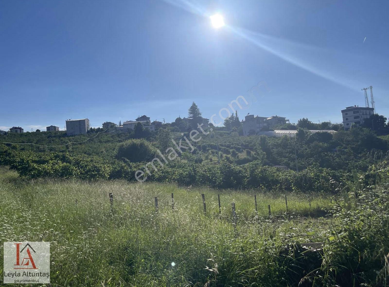 Akyazıda Deniz Manzaralı Villalık Arsa - Görsel 18