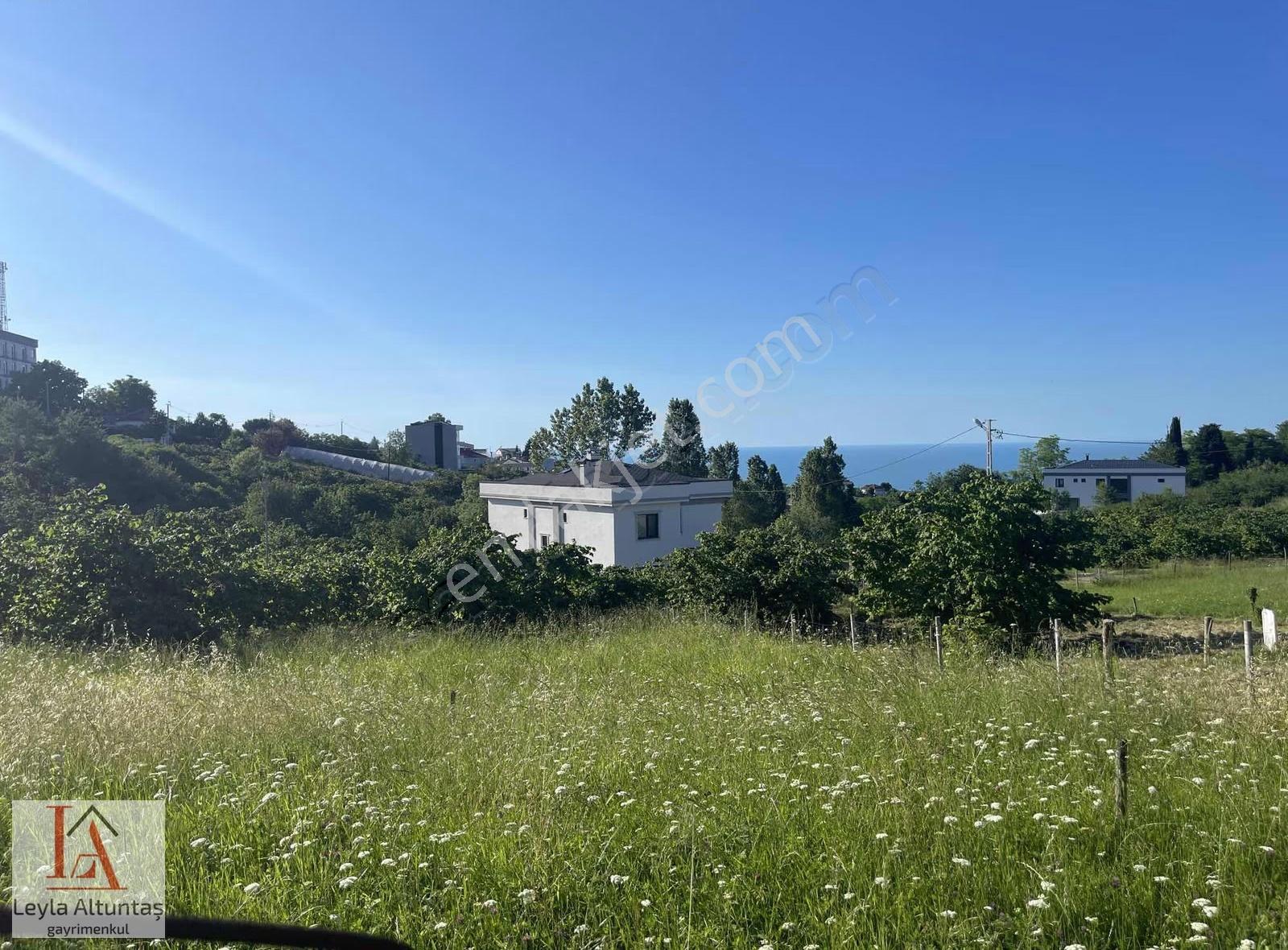 Akyazıda Deniz Manzaralı Villalık Arsa - Görsel 6