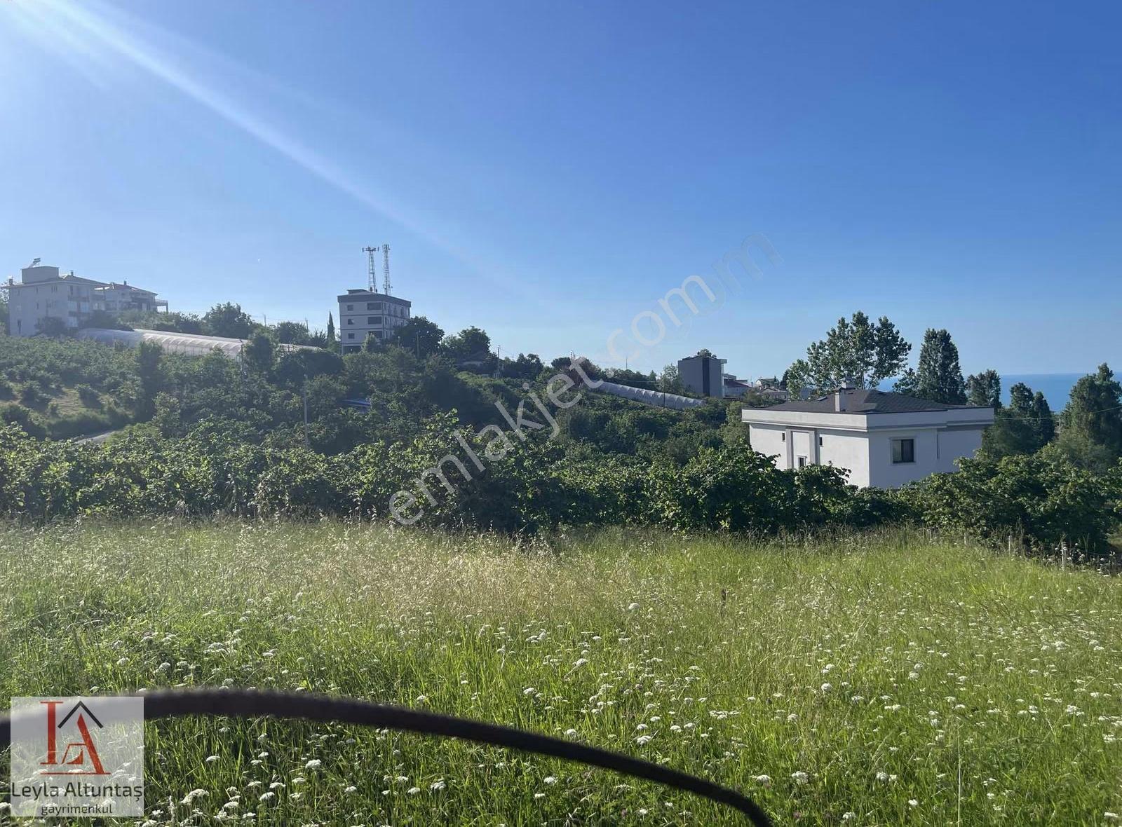 Akyazıda Deniz Manzaralı Villalık Arsa - Görsel 13