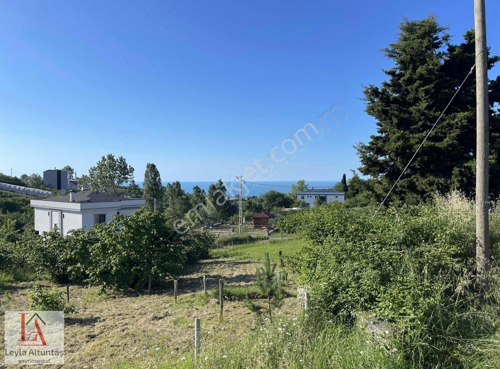 Akyazıda Deniz Manzaralı Villalık Arsa - Görsel 19