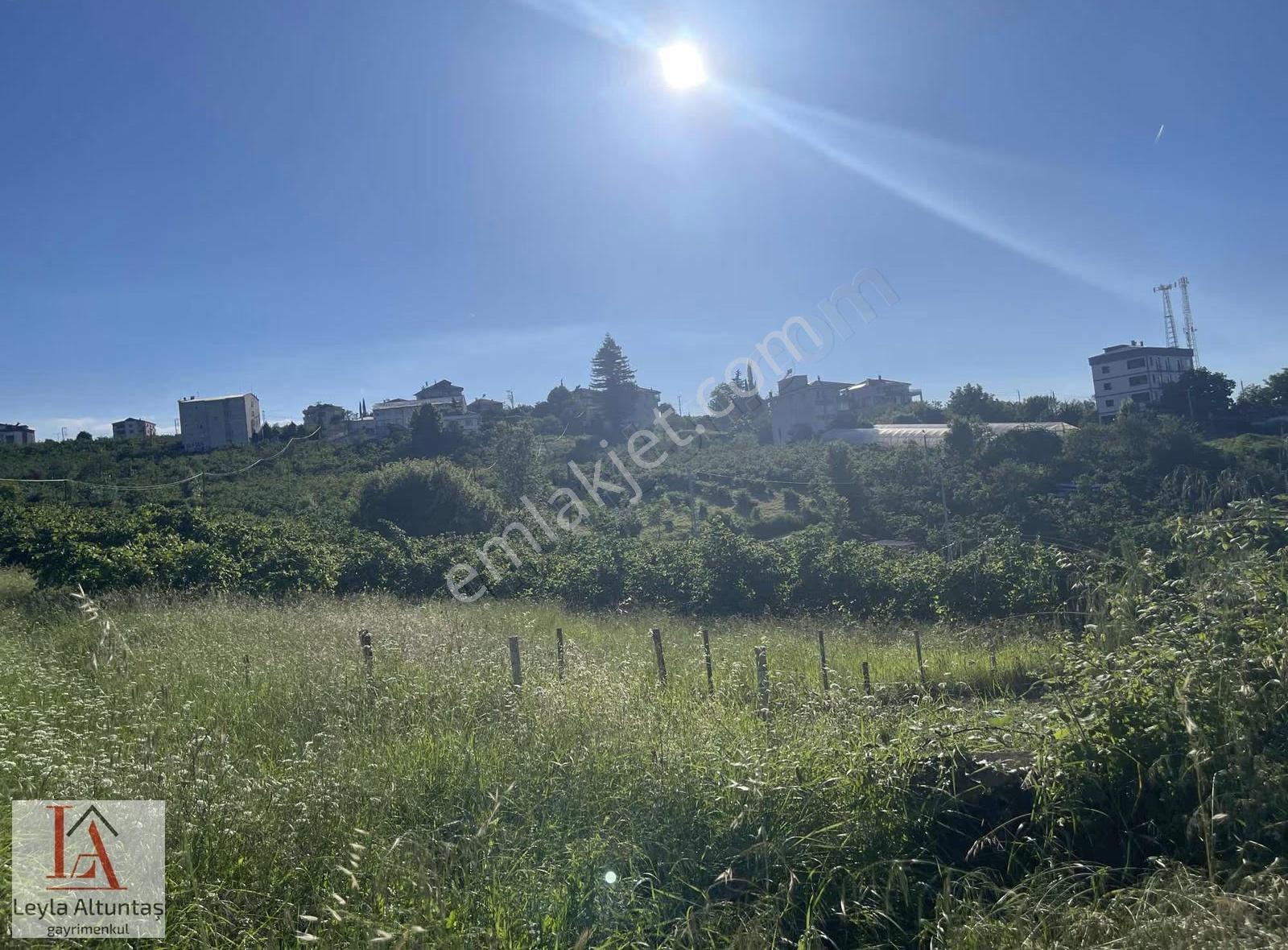 Akyazıda Deniz Manzaralı Villalık Arsa - Görsel 7