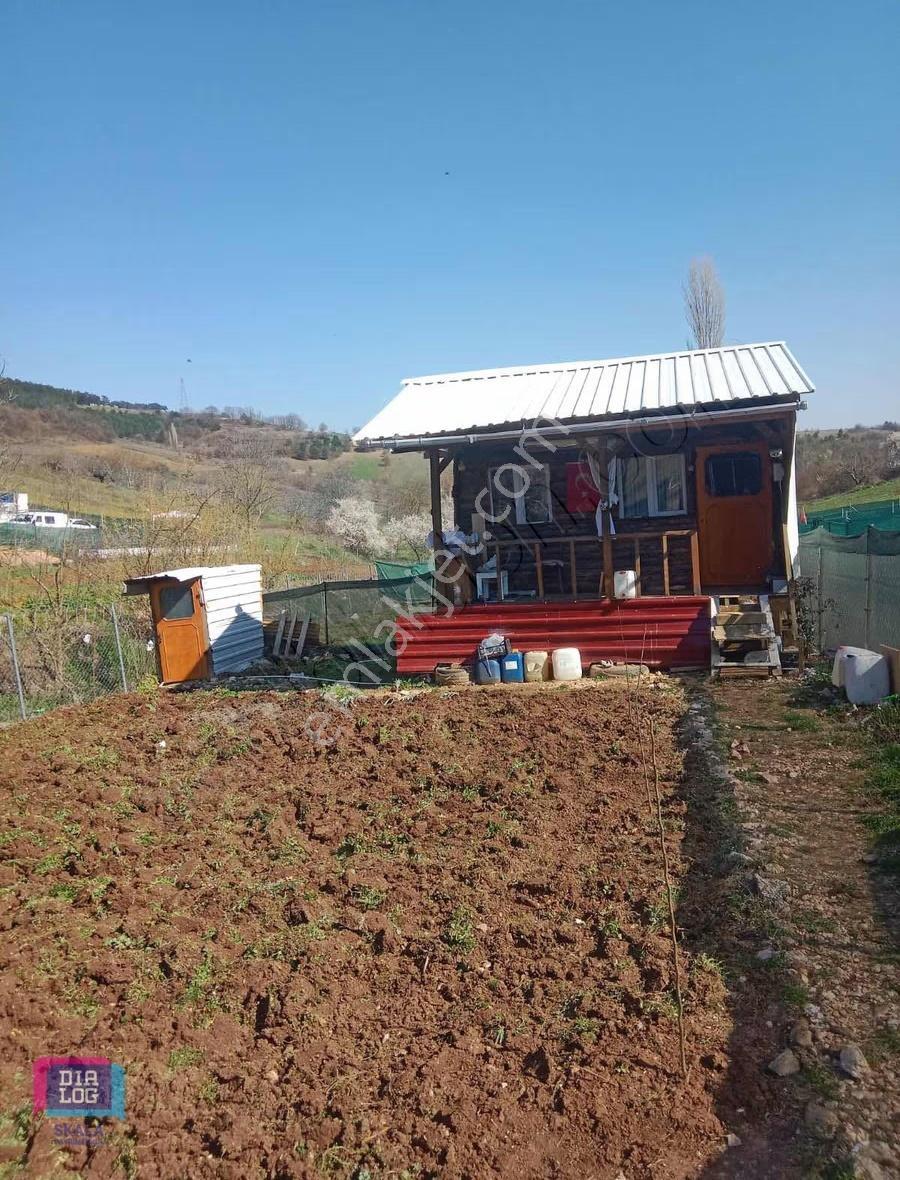 Dialog Skala'dan Hobi Bahçesi - Görsel 3